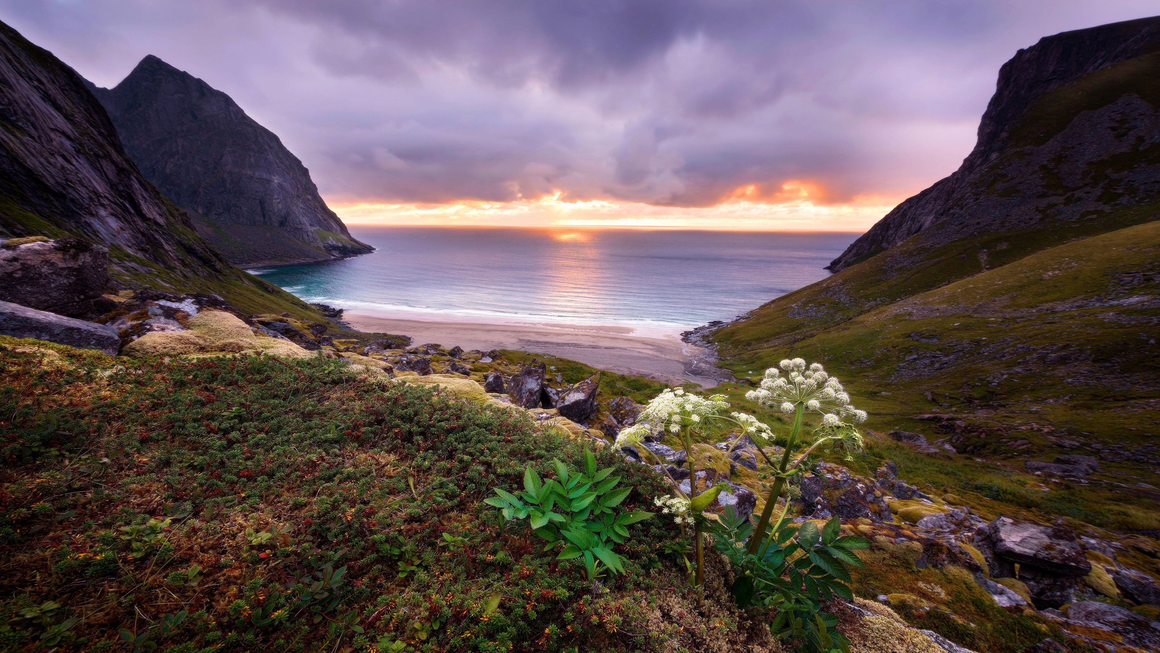 海洋天堂,海滩,浪漫,日出