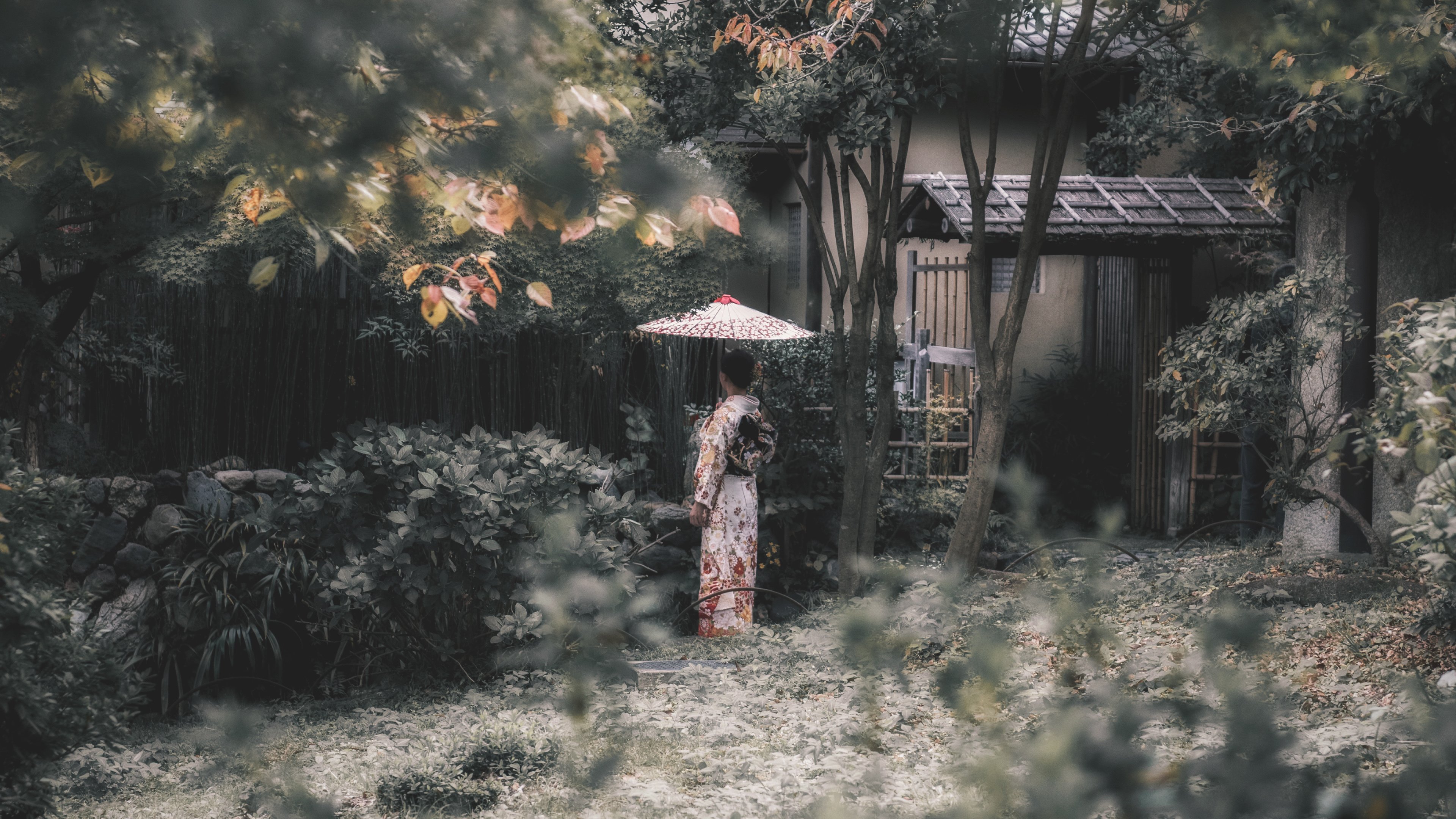 和服,庭院,日本,幕府