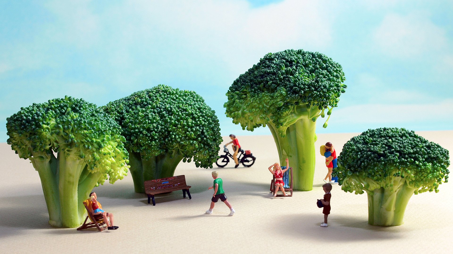 小清新,静物写真,西蓝花