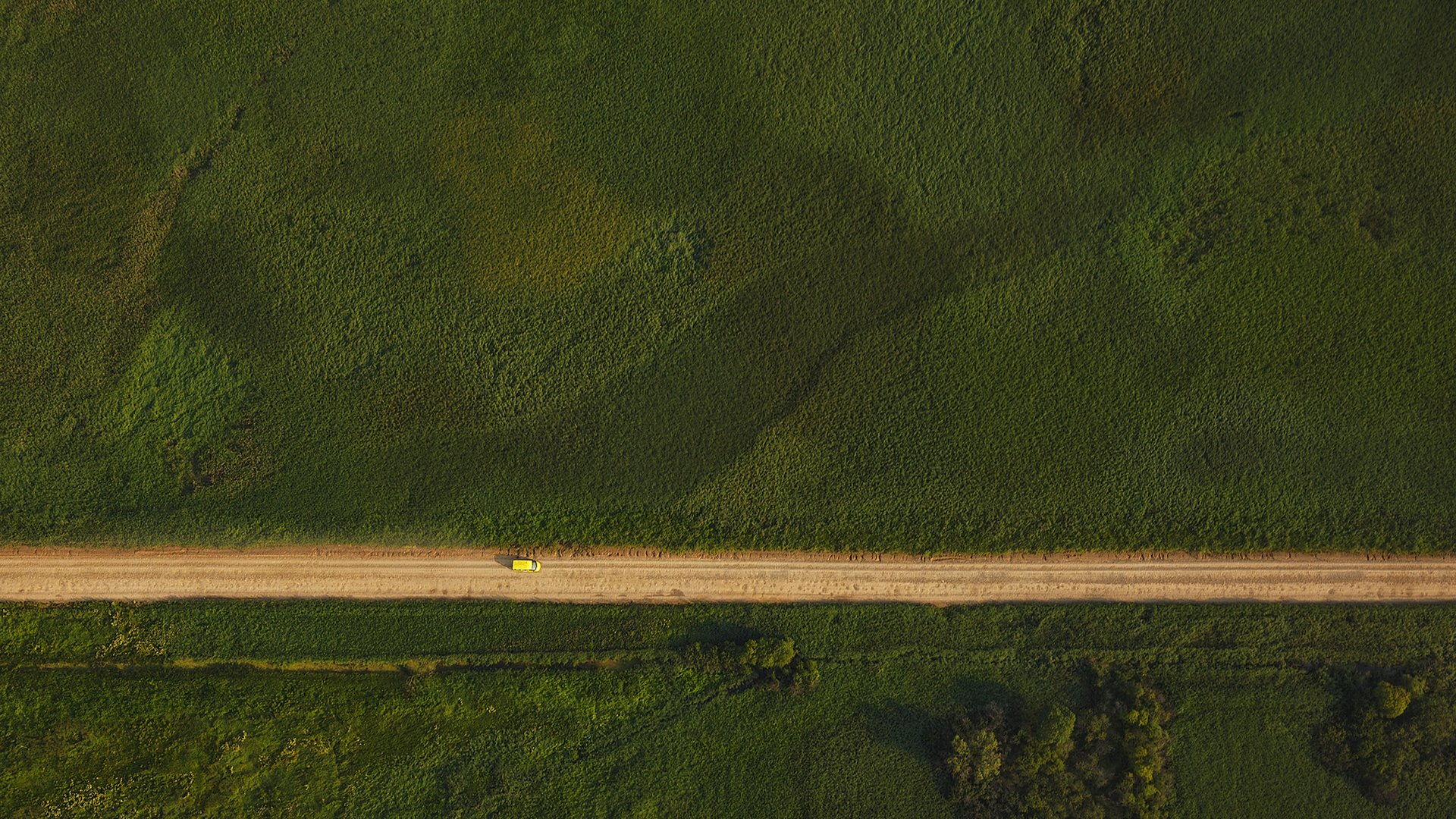 森林,公路,航拍,自然风光