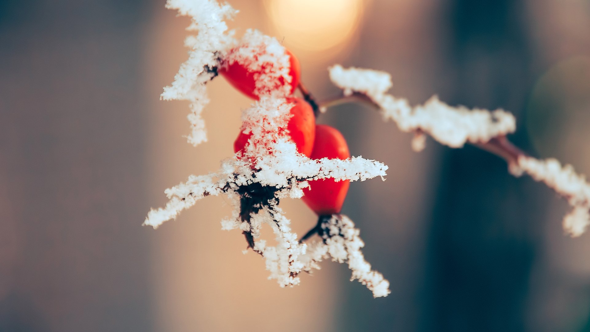 风景大片,冰天雪地