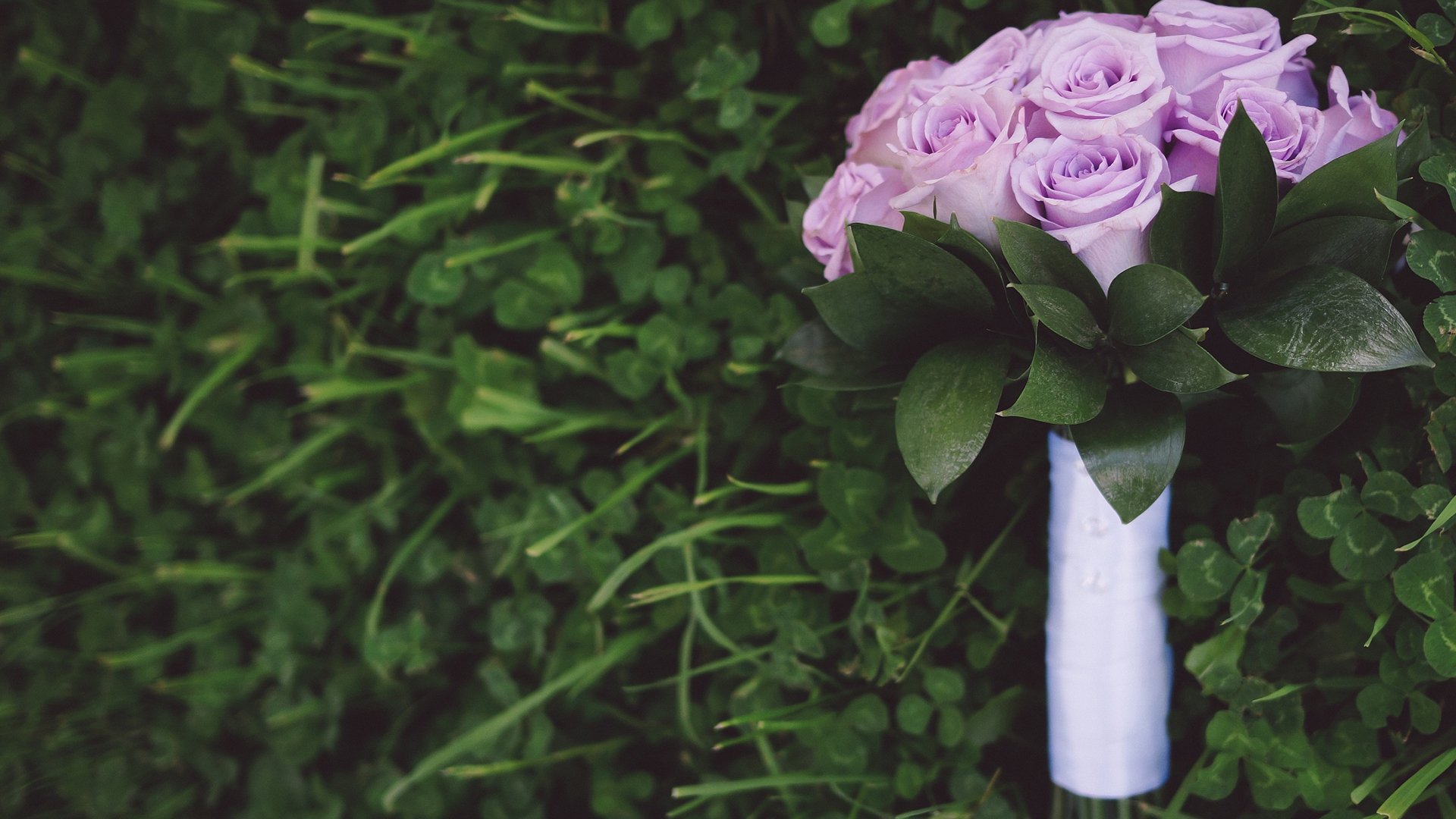 小清新,静物写真,花,紫色