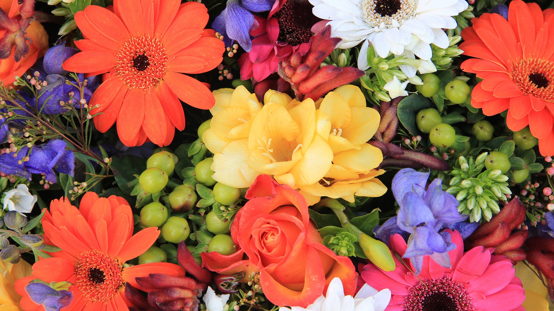 小清新,娇艳欲滴,花