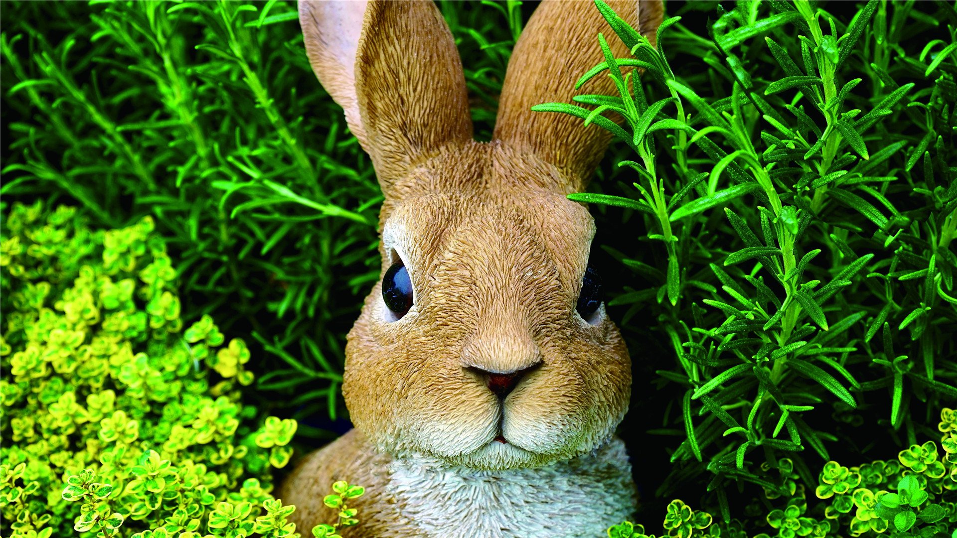 小清新,静物写真,兔子