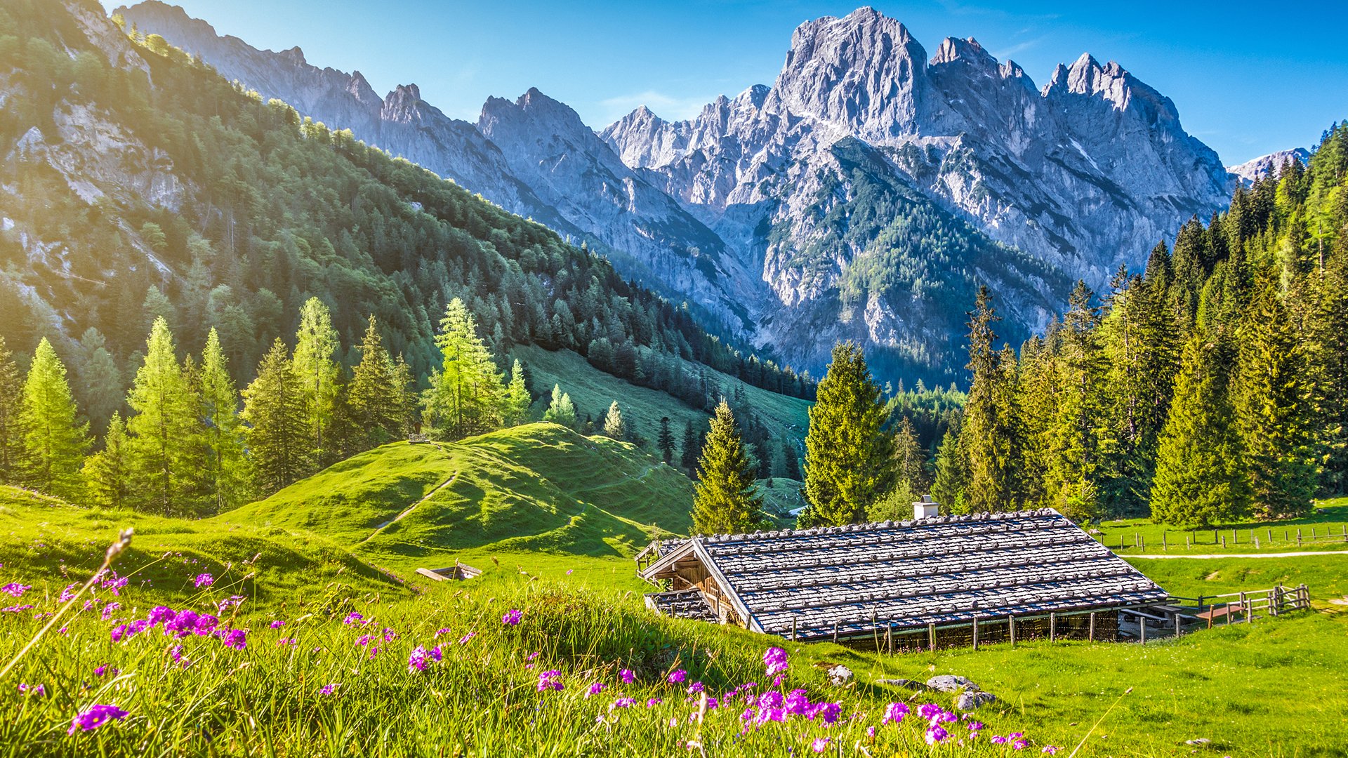风景大片,春意盎然