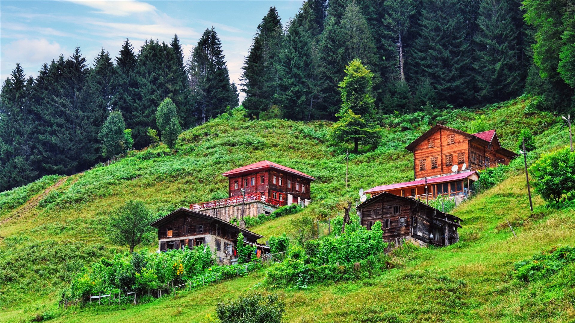 风景大片,春意盎然