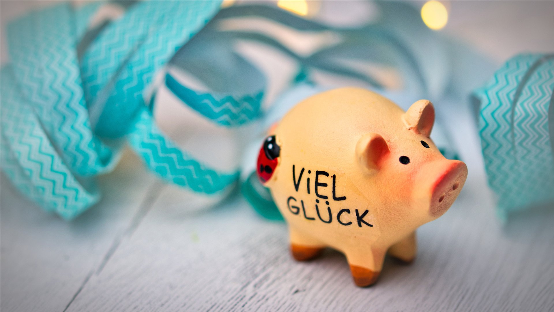 小清新,静物写真,猪