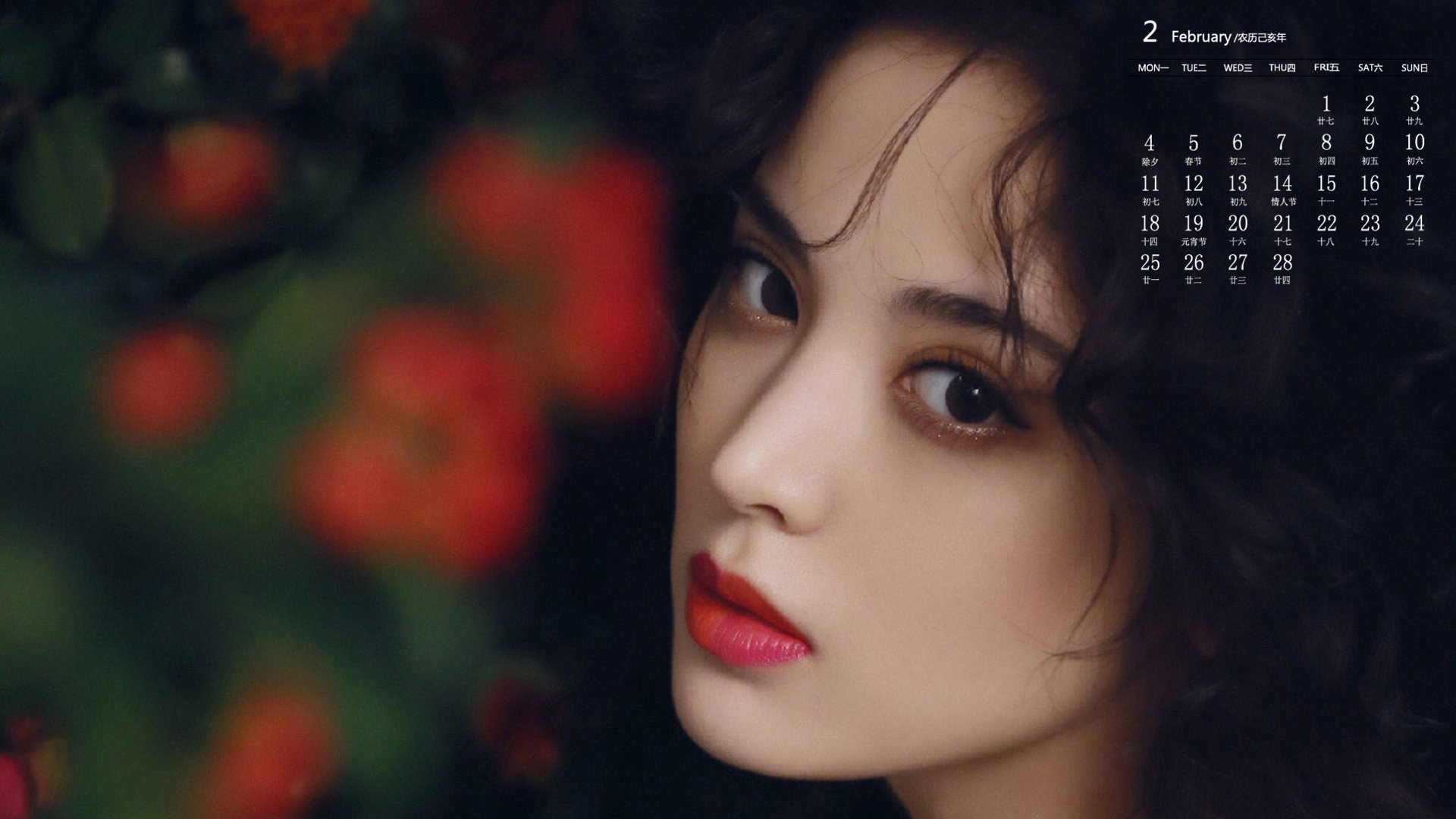 月历,2019年2月