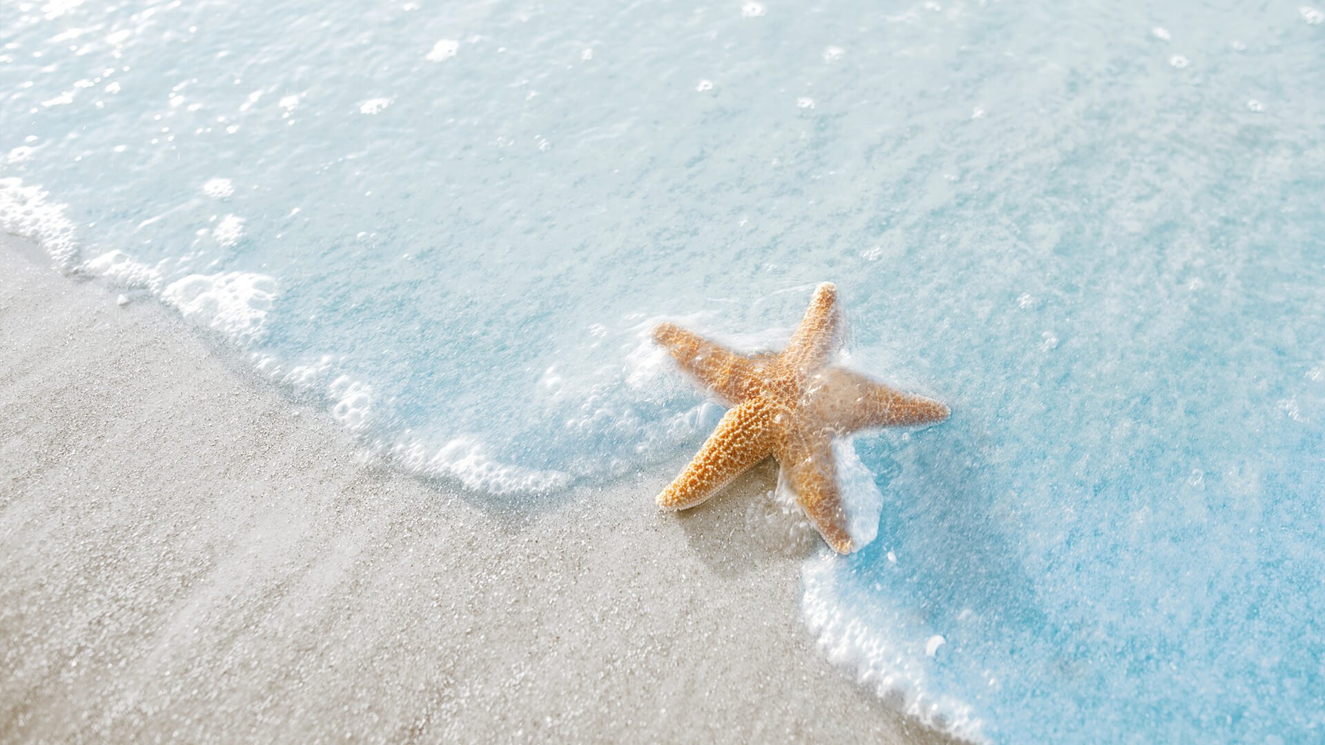 小清新,舒缓压力,海星