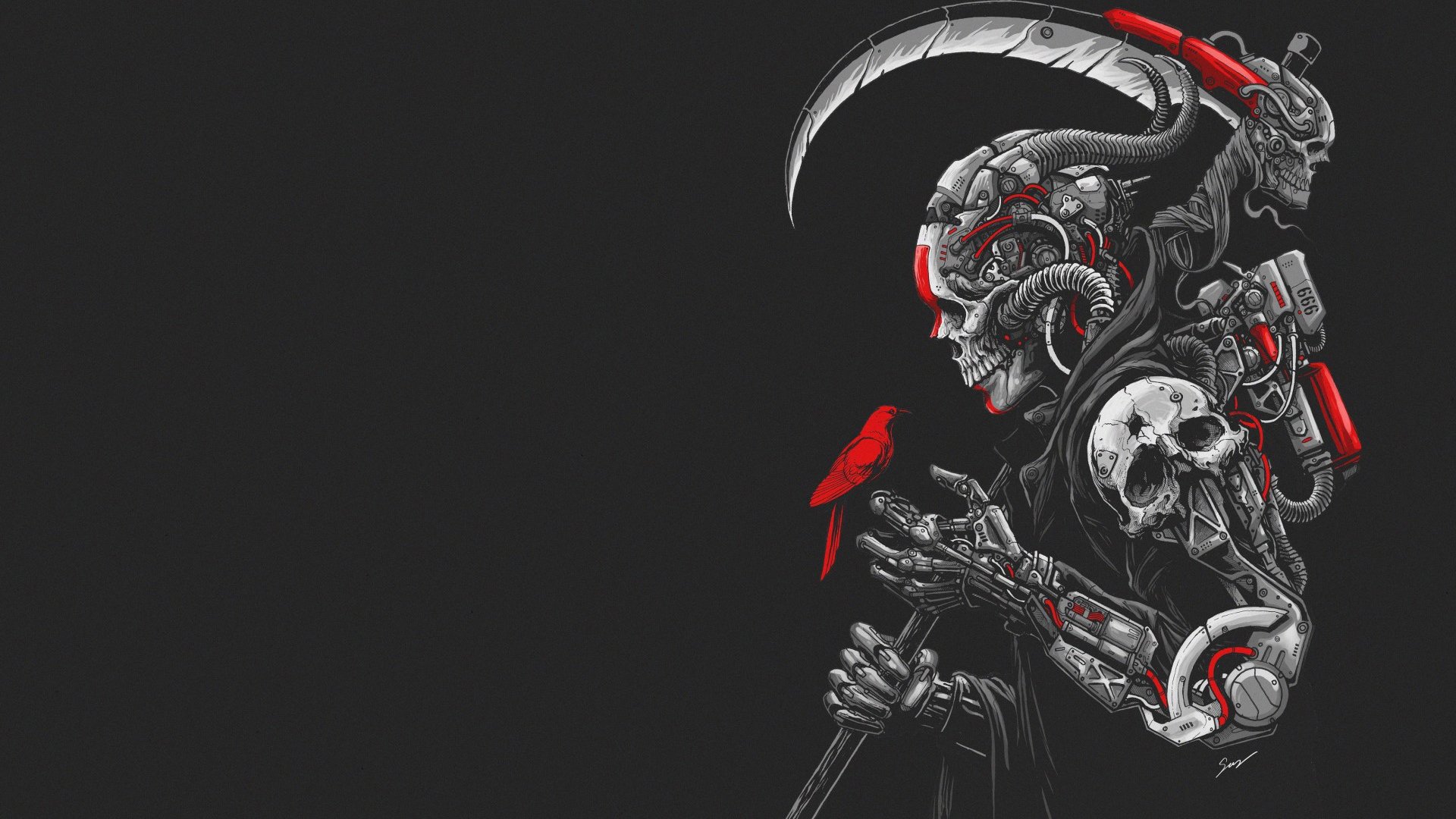 骷髅,恐怖,时尚