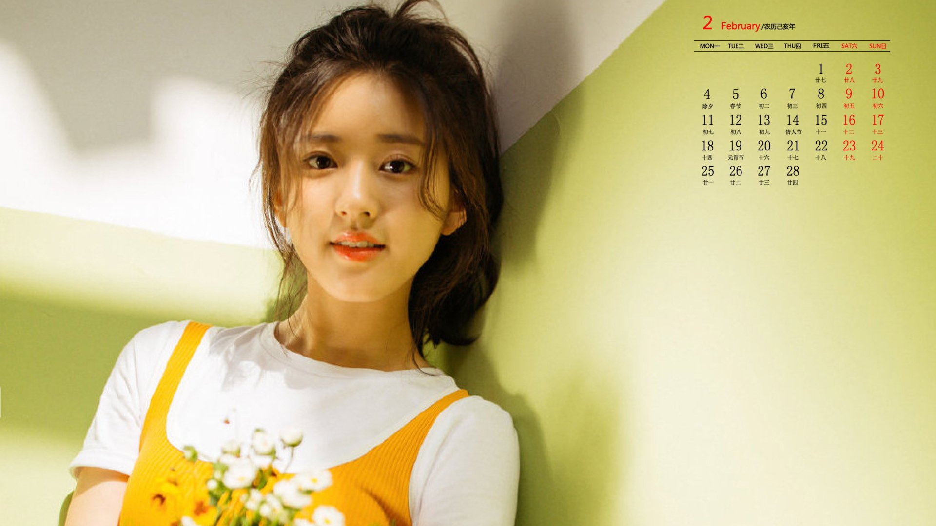 月历,2019年2月