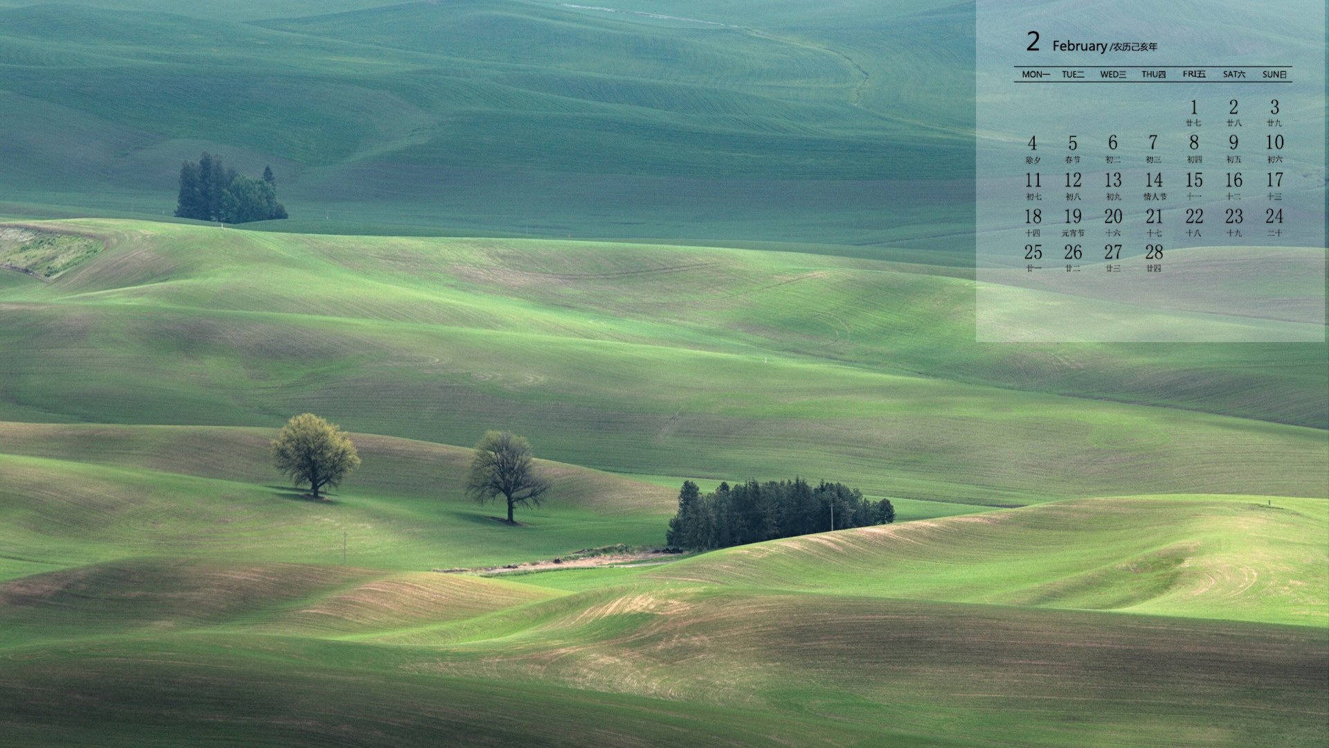 月历,2019年2月