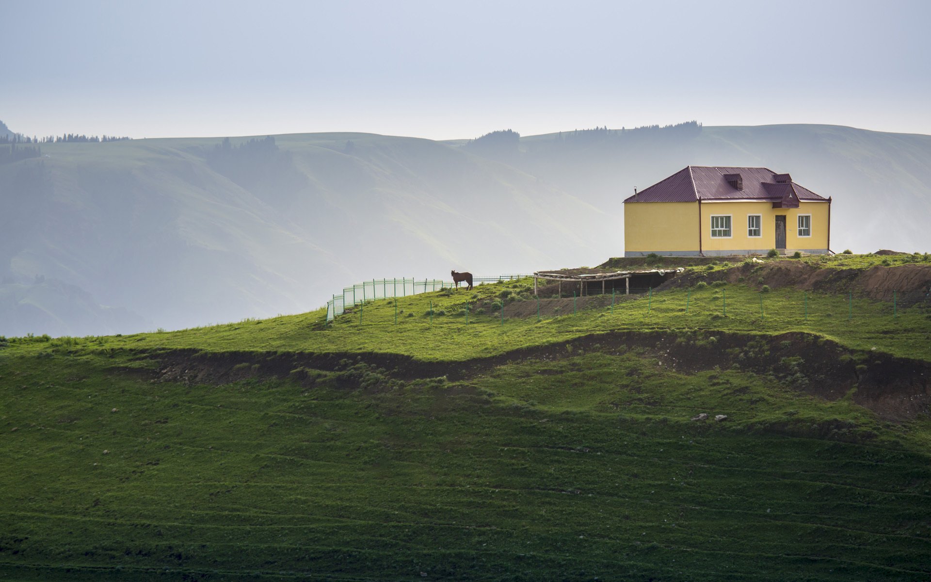 风景大片,春意盎然