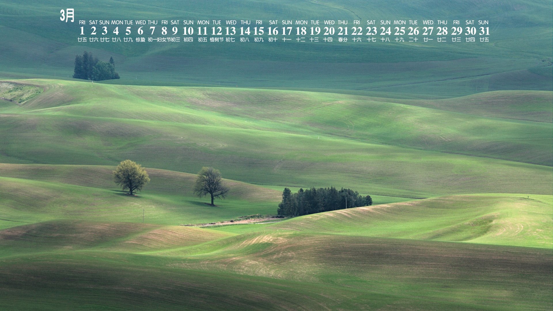 月历,2019年3月