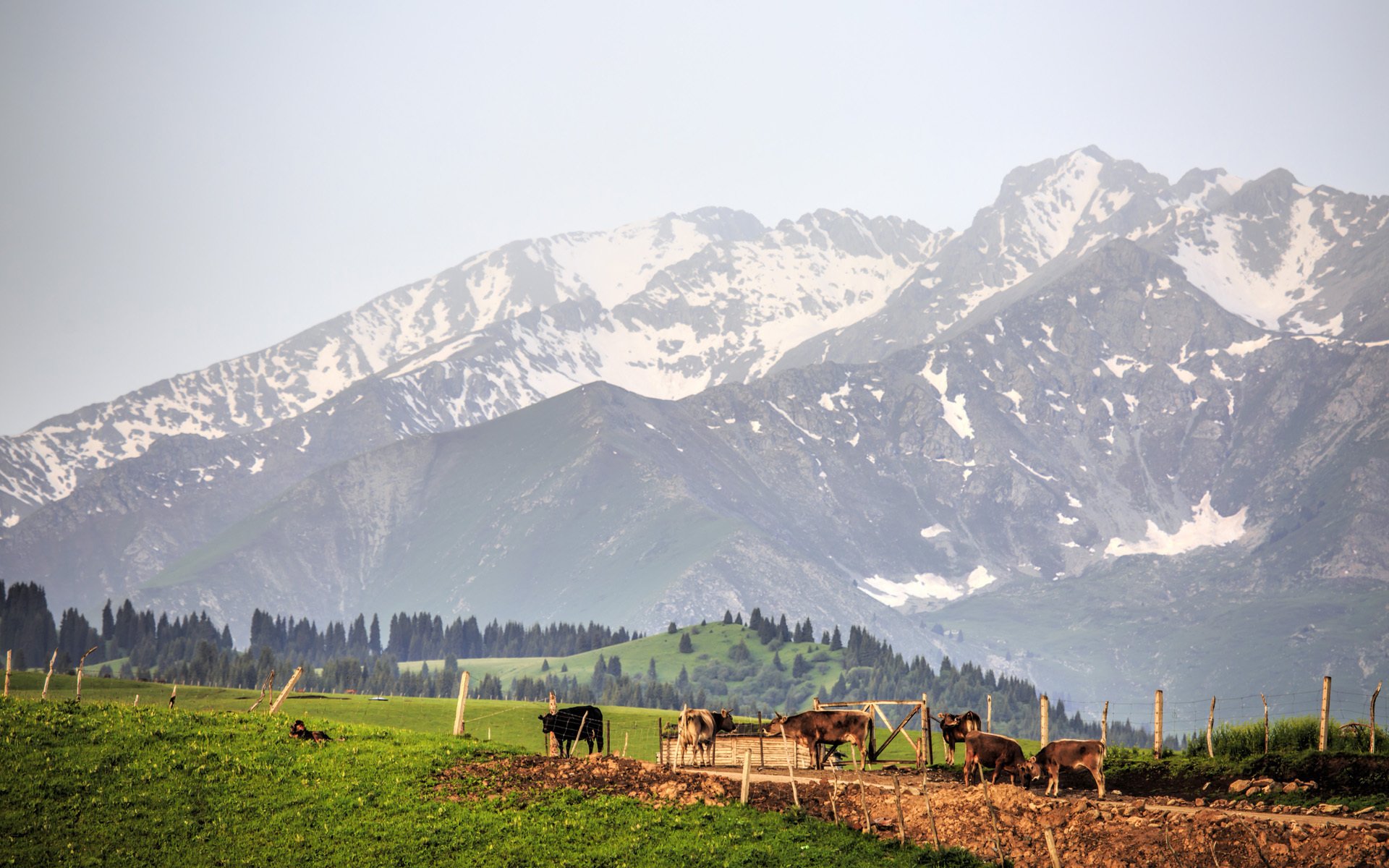 风景大片,春意盎然
