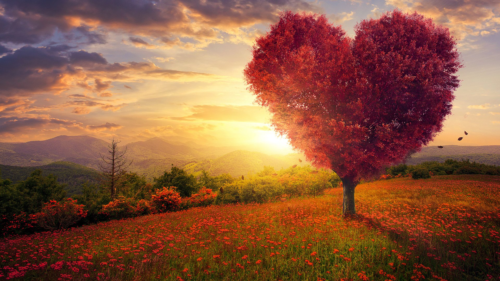 风景大片,春意盎然,心