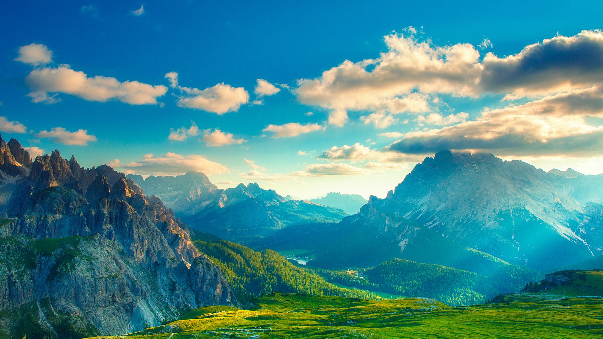 风景大片,春意盎然,草地