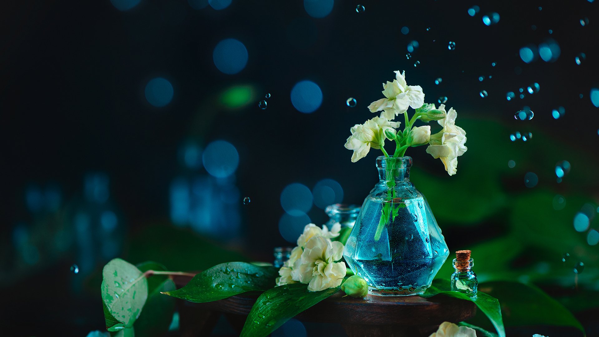 小清新,护眼壁纸,绿叶