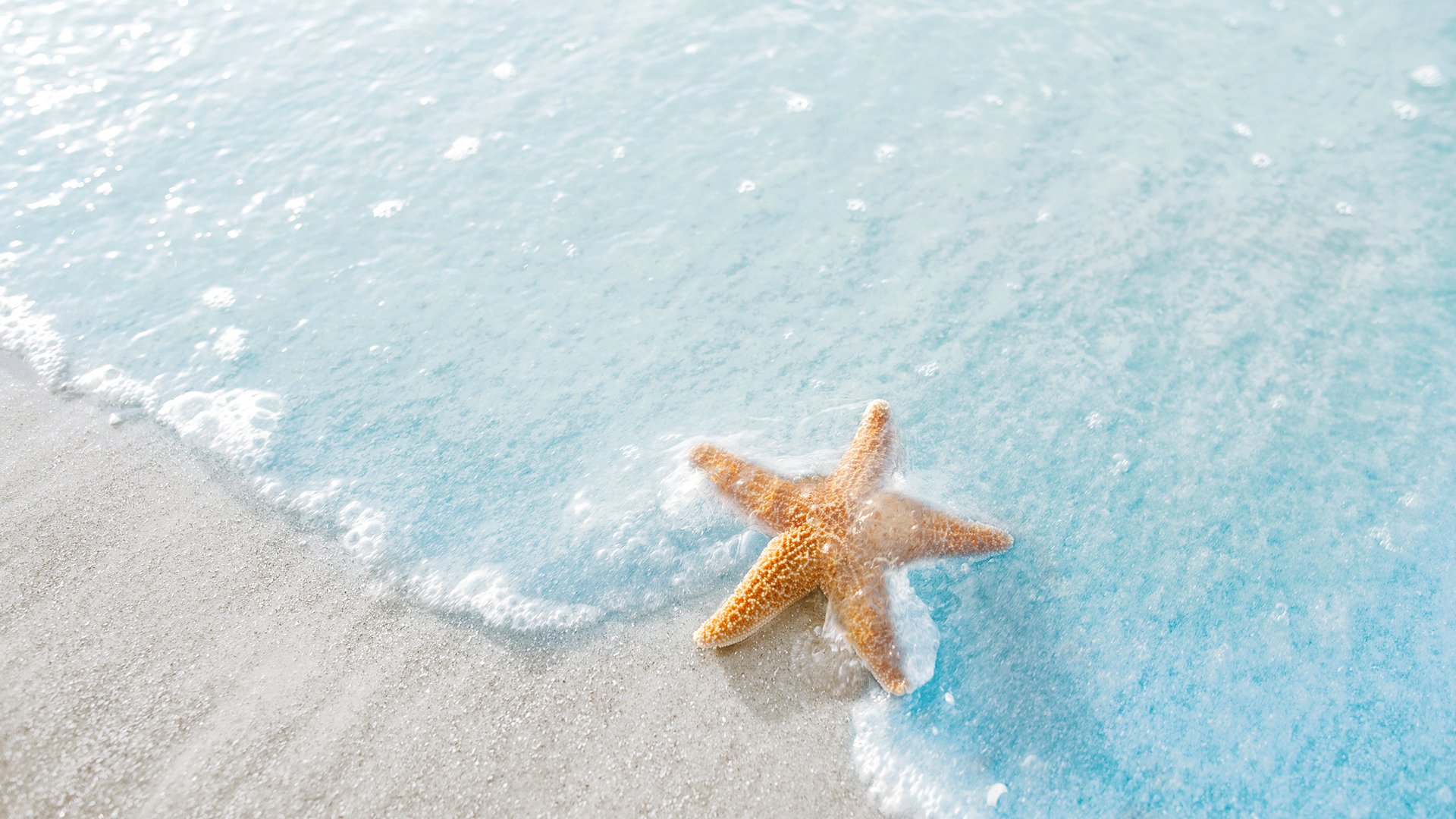 风景大片,海洋天堂