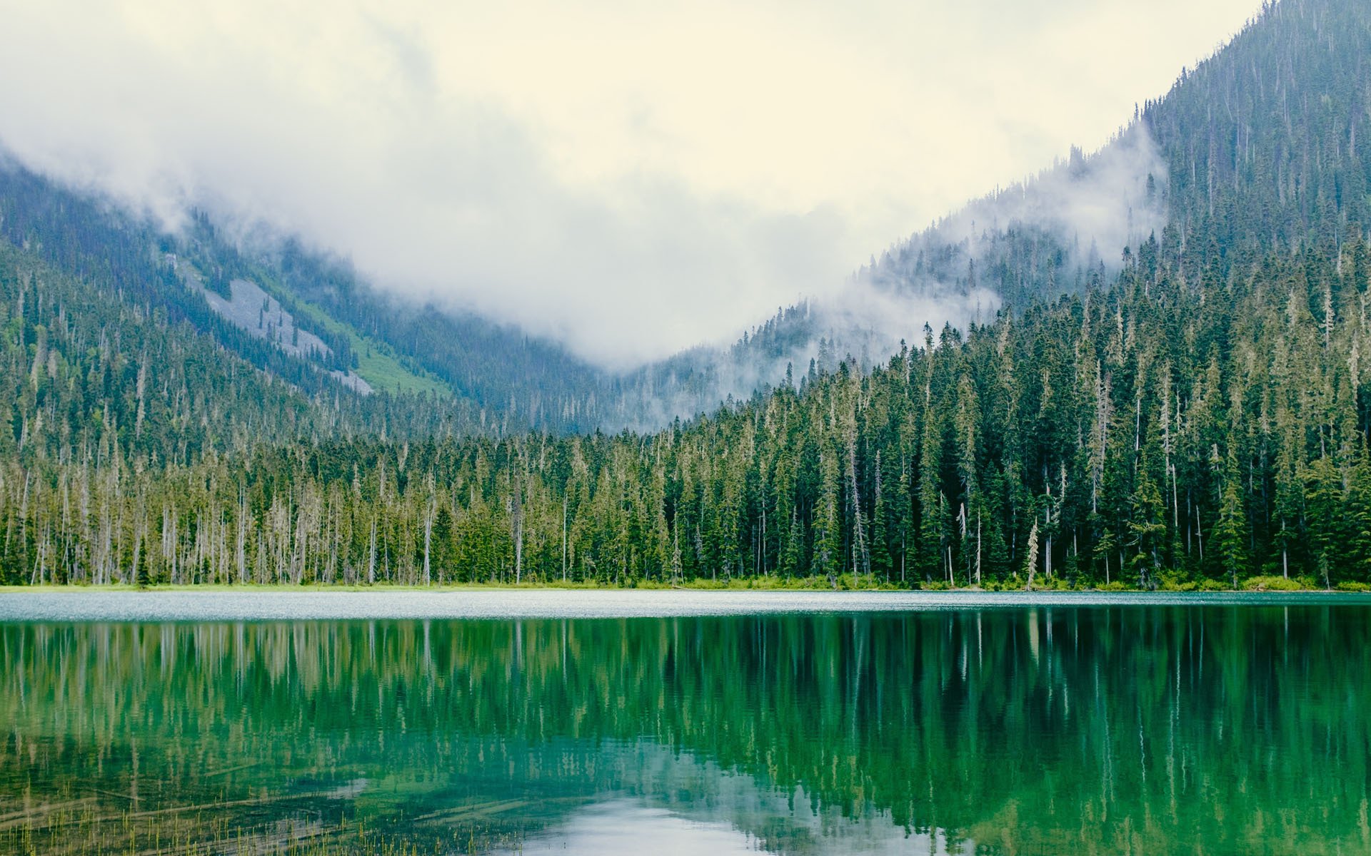 风景大片,春意盎然