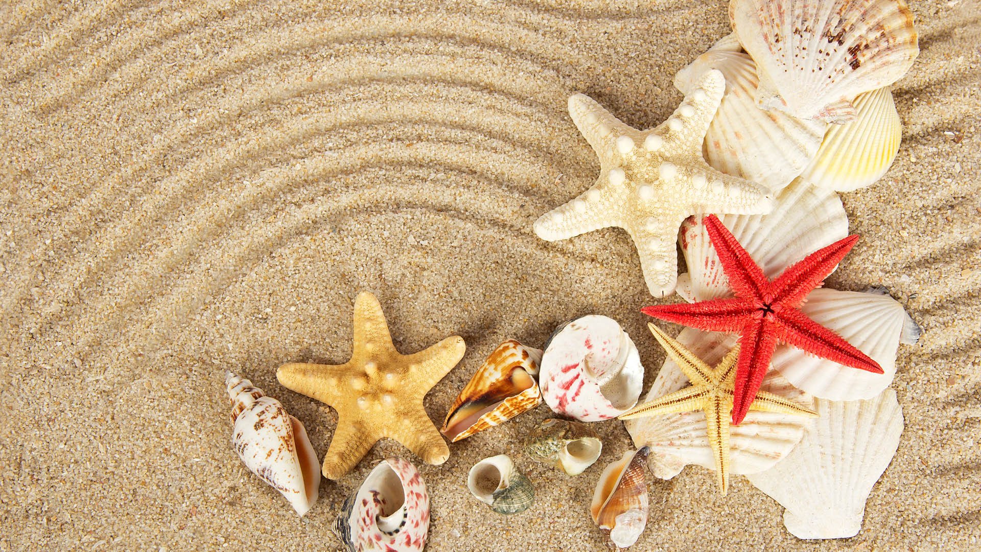 风景大片,海洋天堂