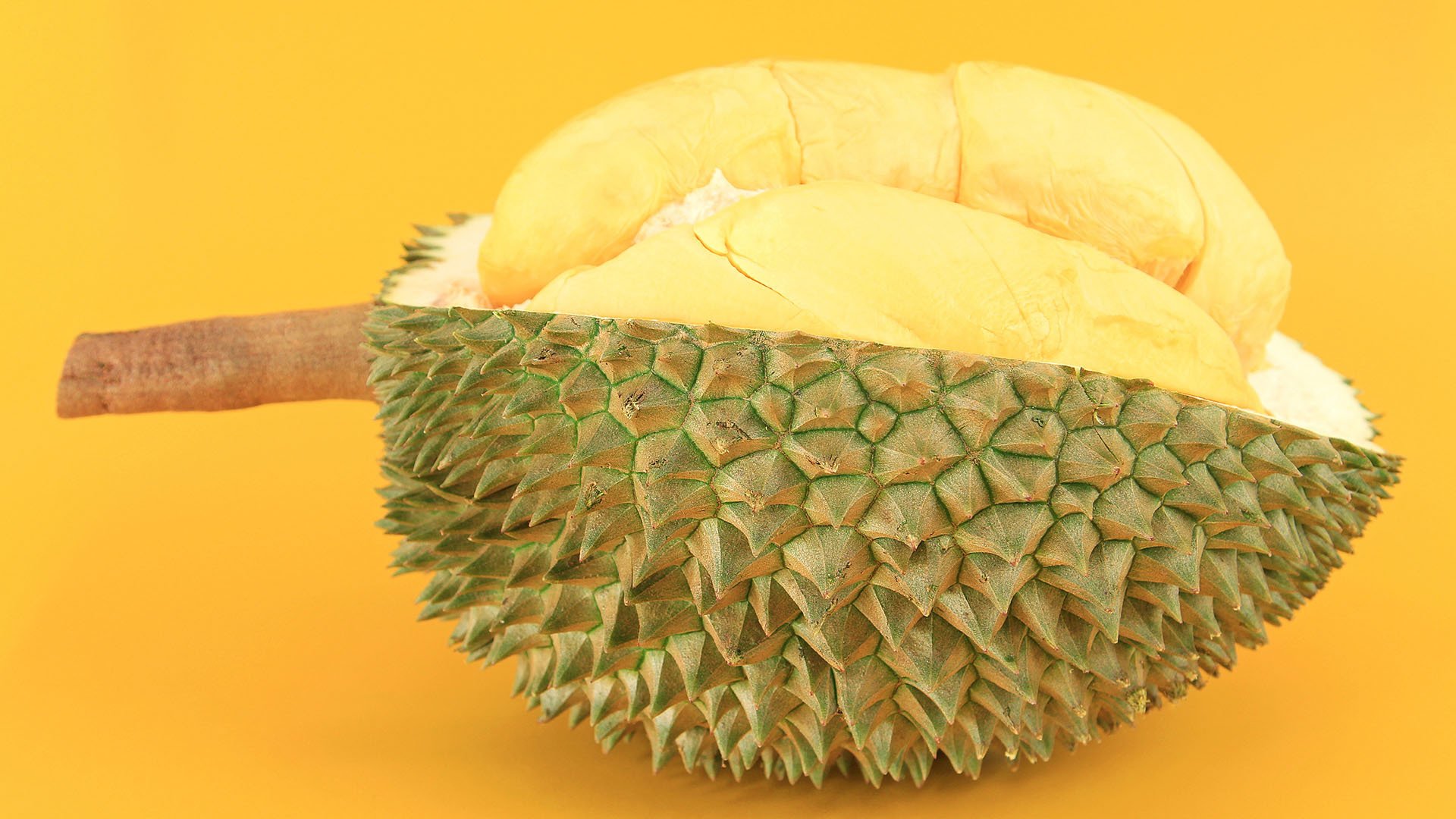 小清新,动感水果