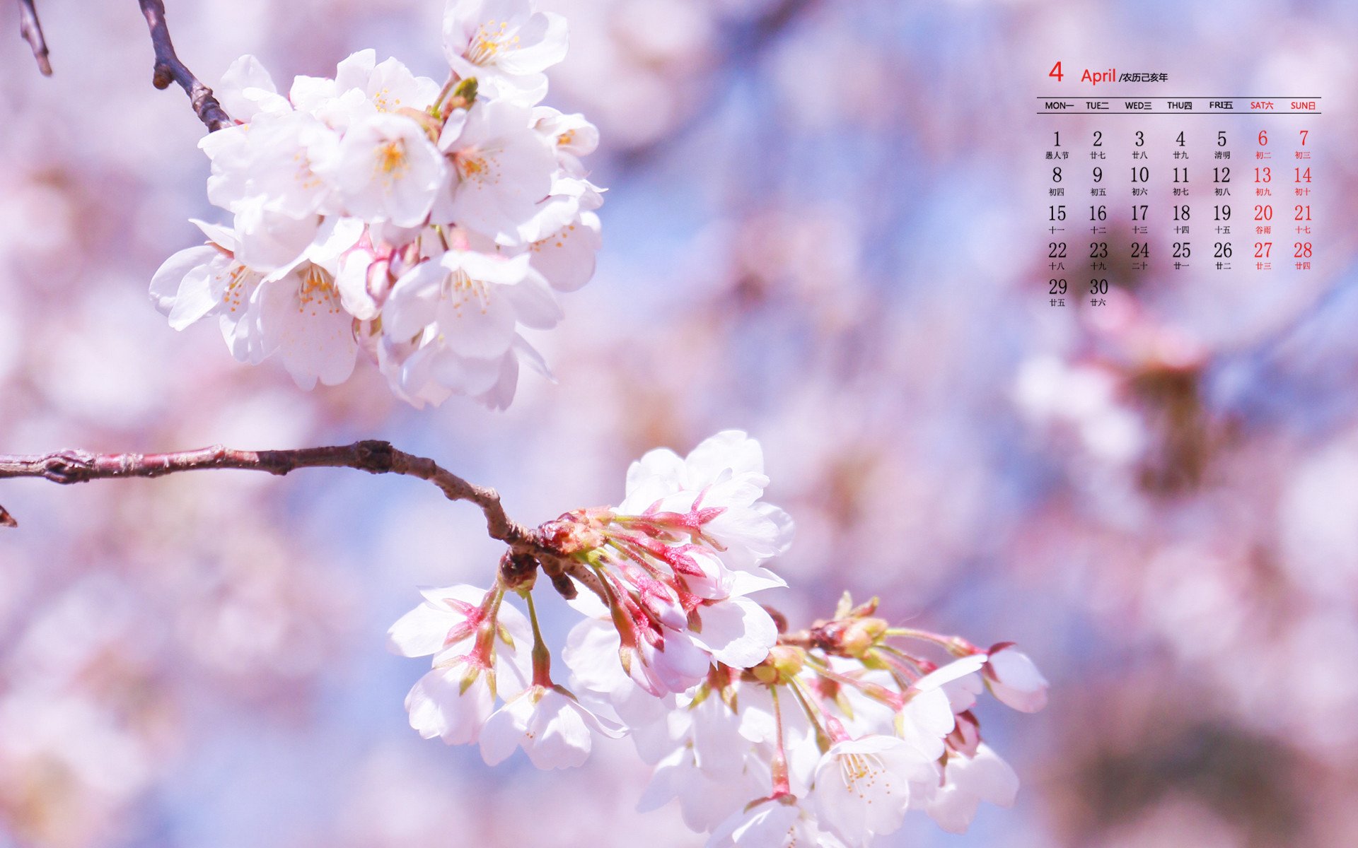 月历,2019年4月