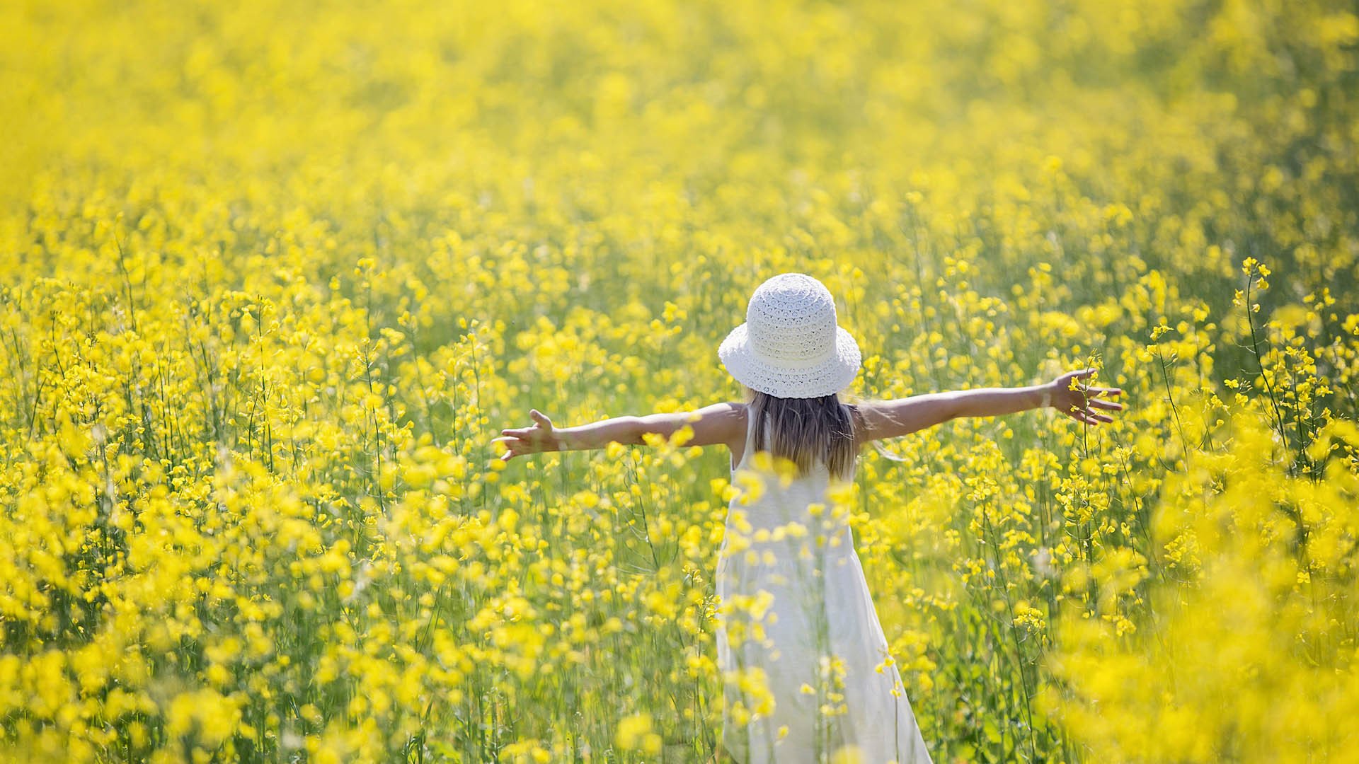 风景大片,春意盎然,油菜花,春天,小黄花,背影
