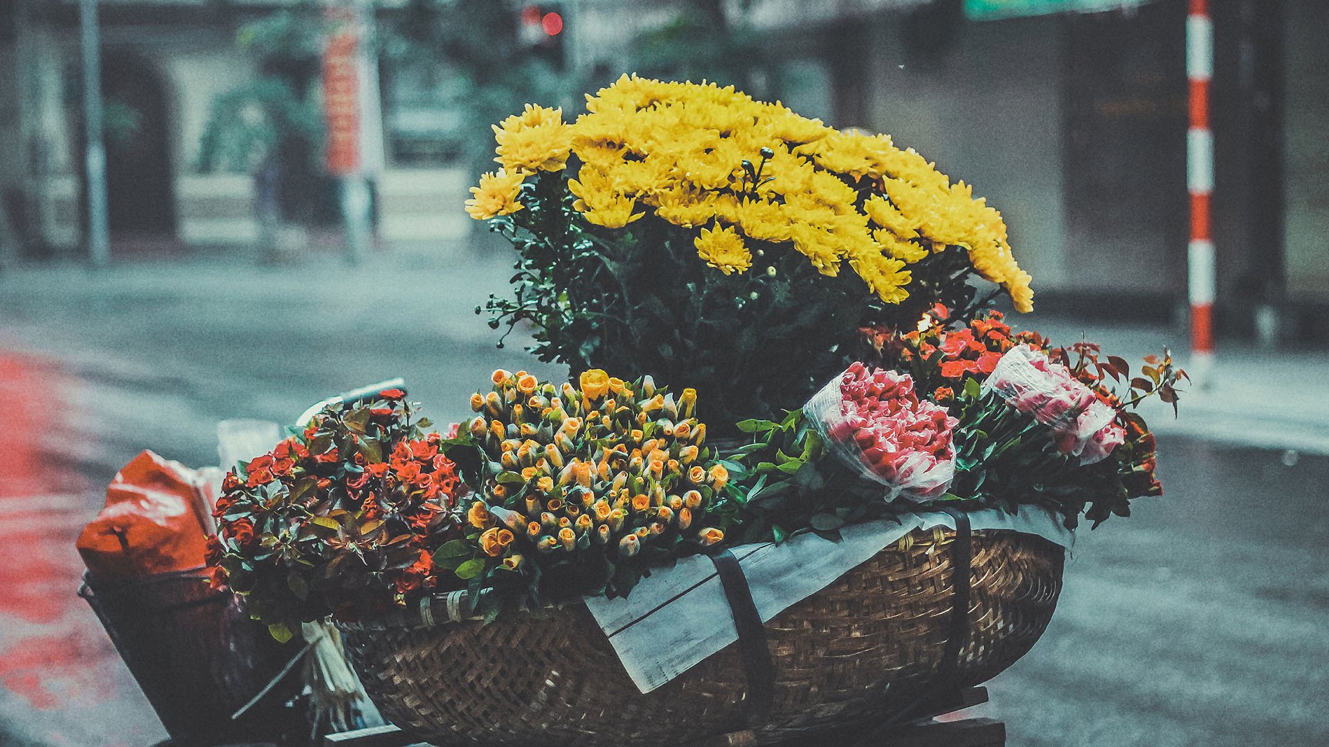 风景大片,春意盎然