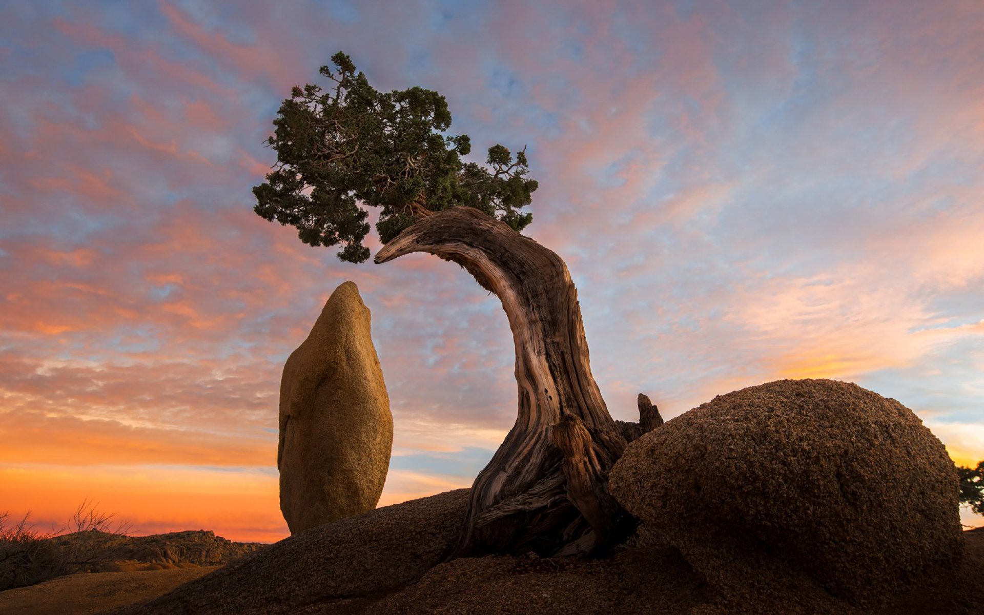 落日余晖,晚霞,夕阳