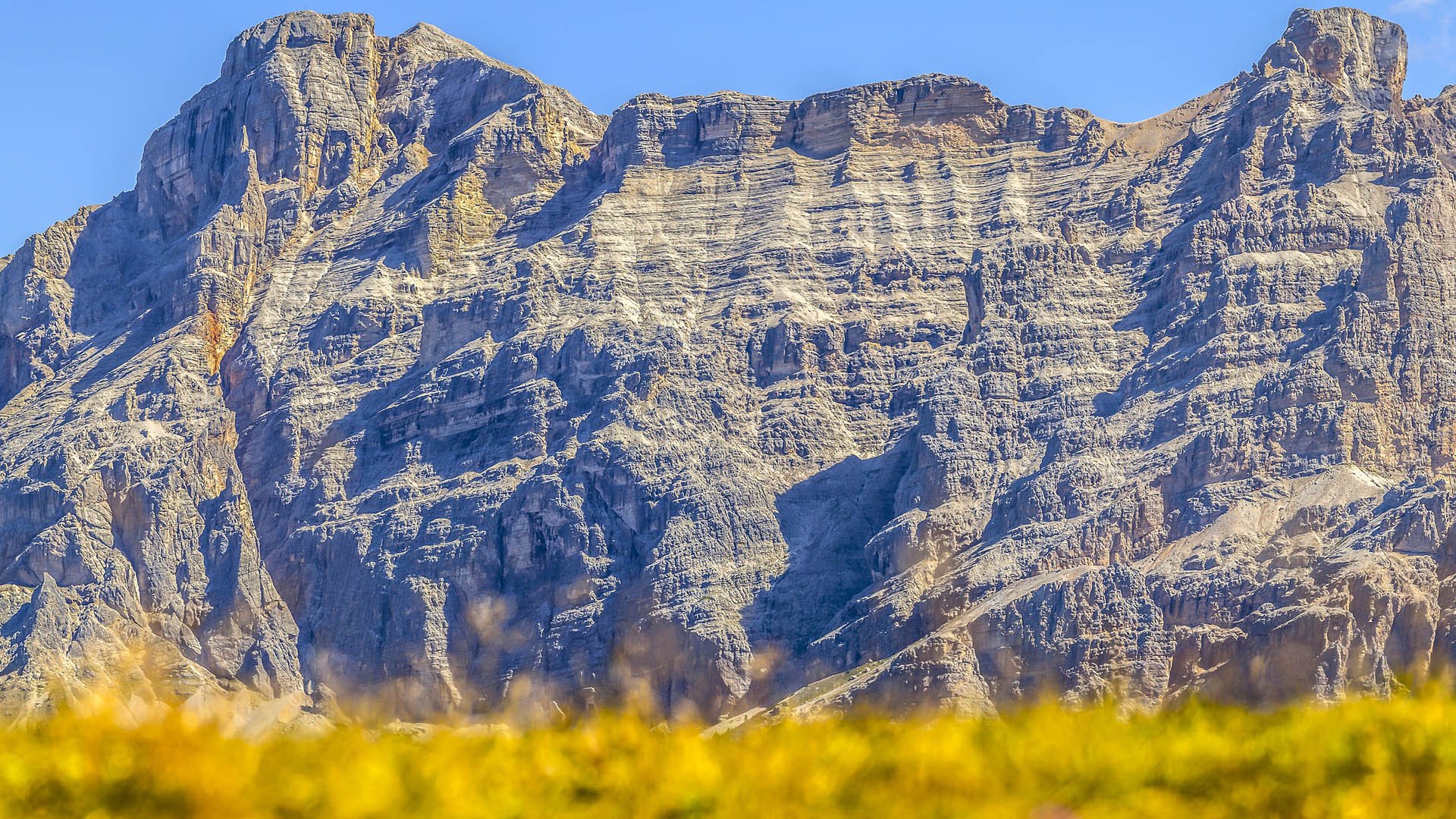 风景大片,秋意正浓