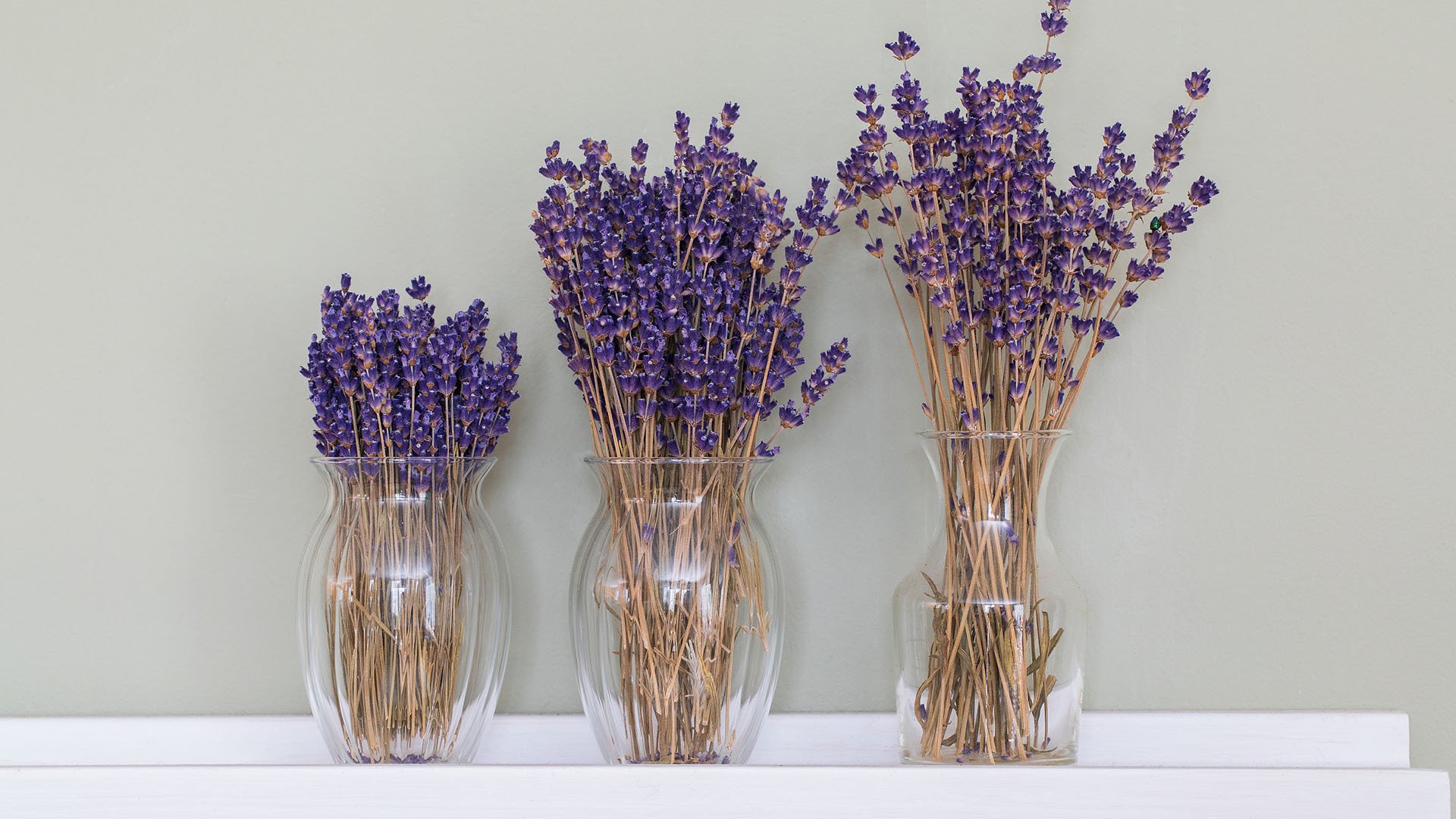 小清新,静物写真,干花,花束