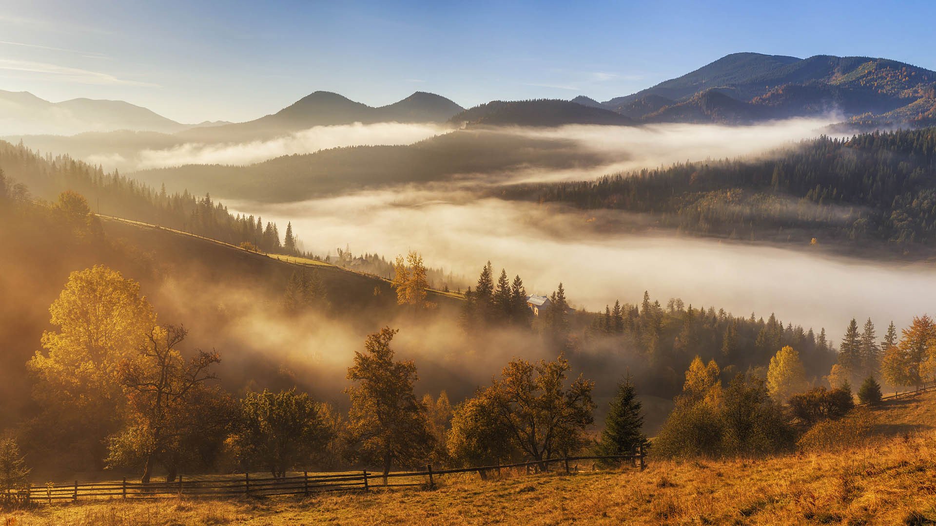 风景大片,秋意正浓