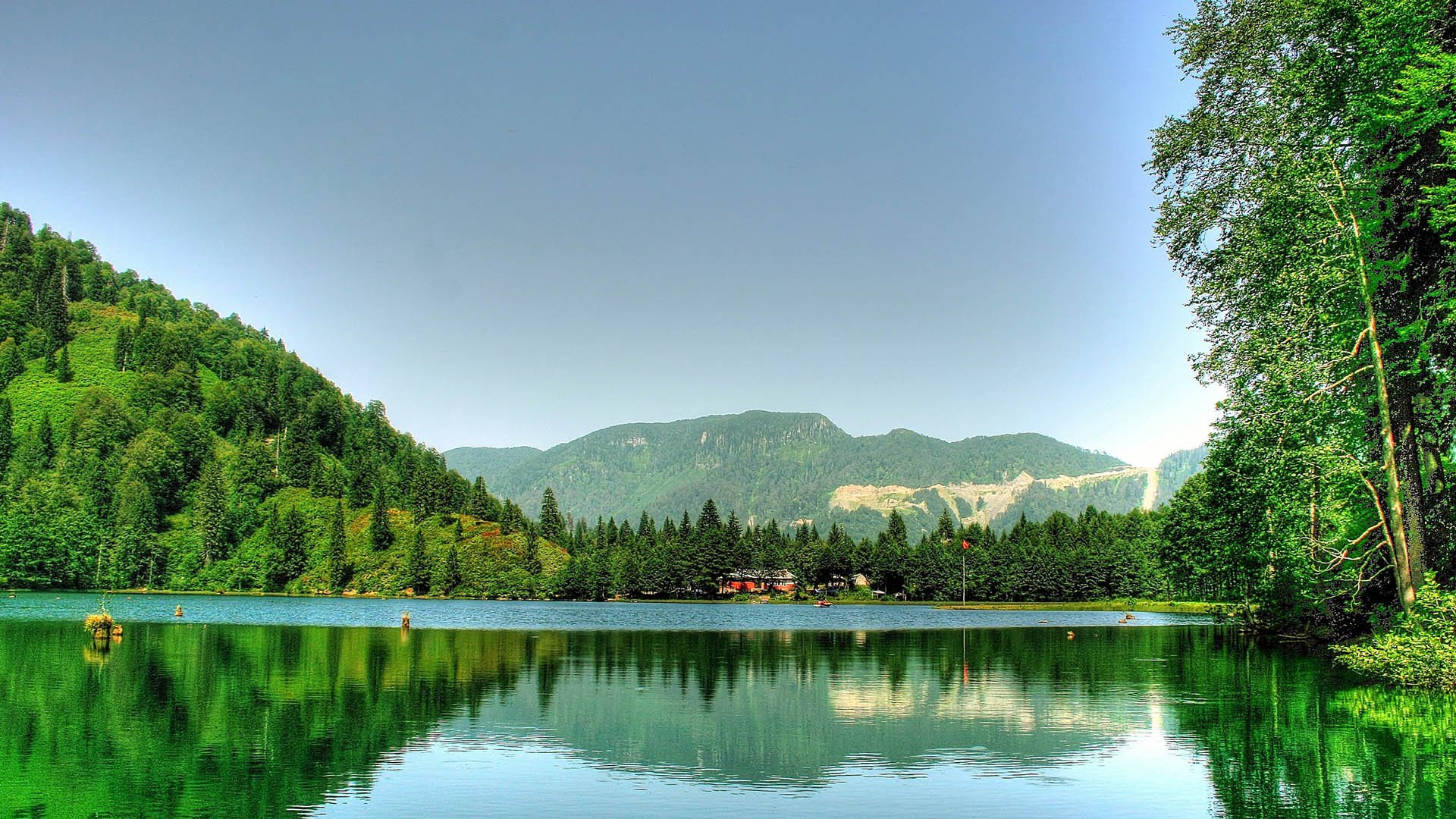 风景大片,春意盎然