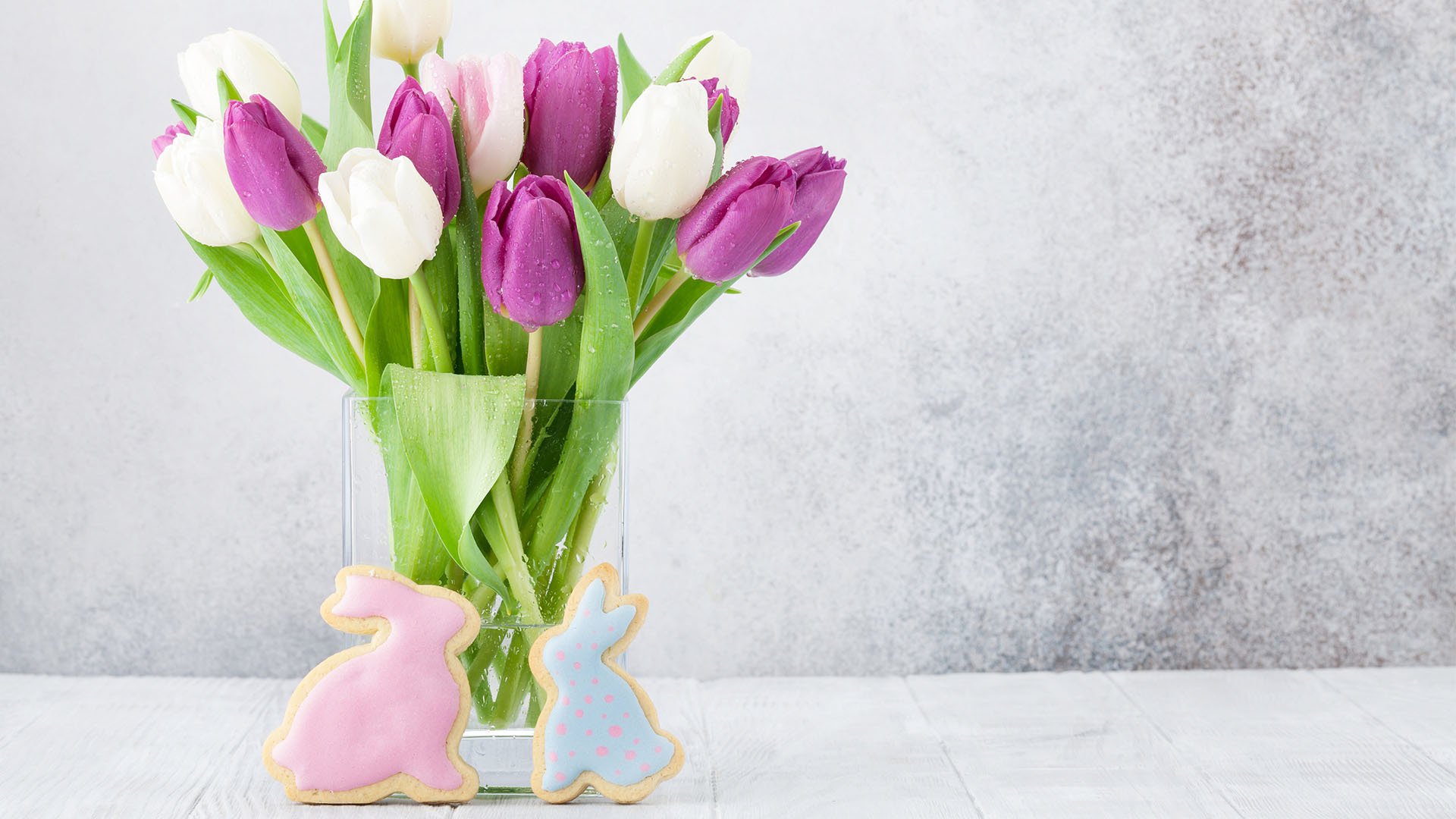 小清新,娇艳欲滴,郁金香