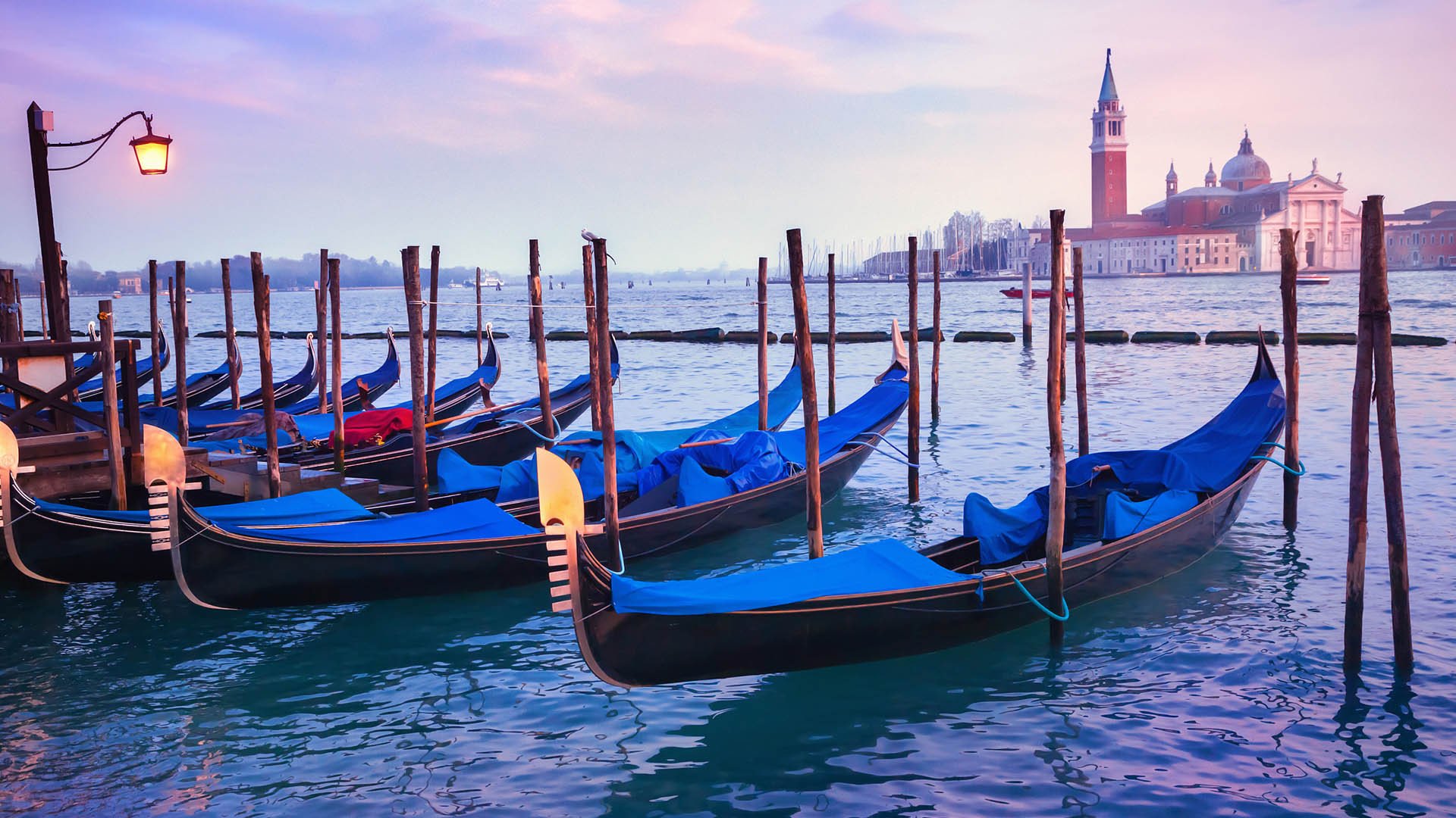 风景大片,城市夜景