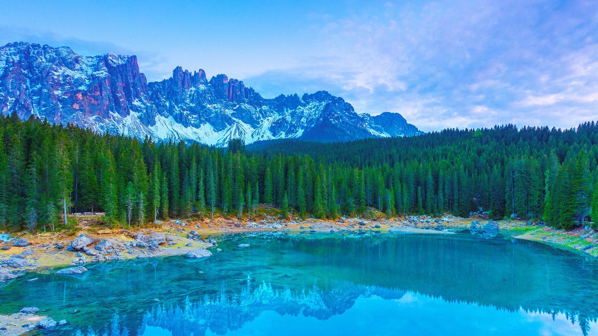 风景大片,春意盎然