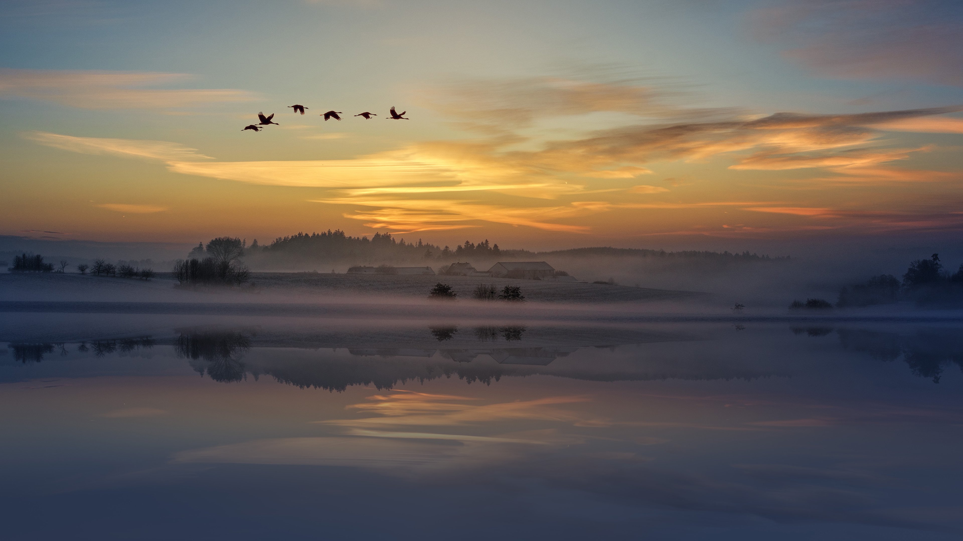 晚霞,候鸟,迁徙