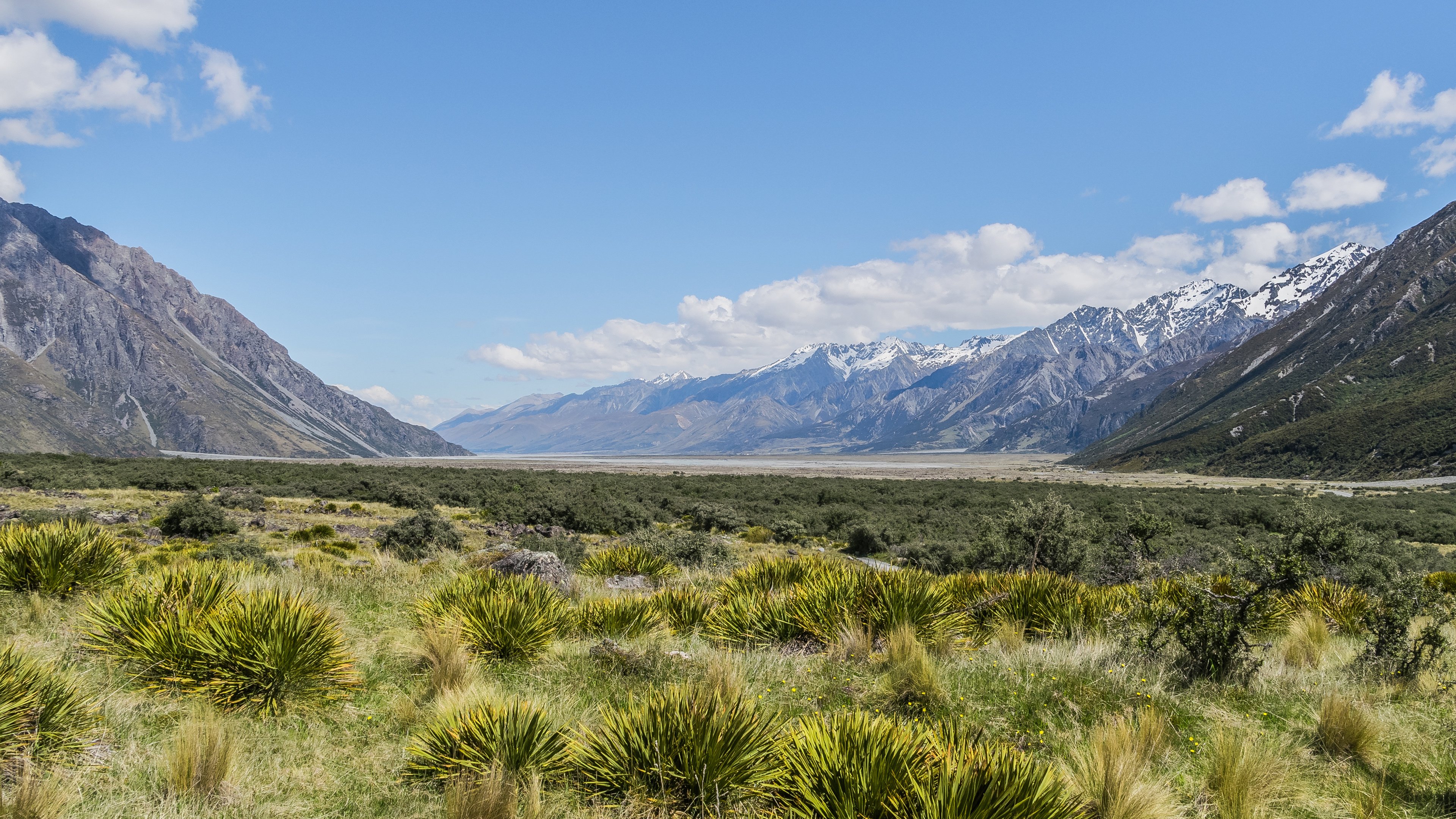 自然风光,草原,高山