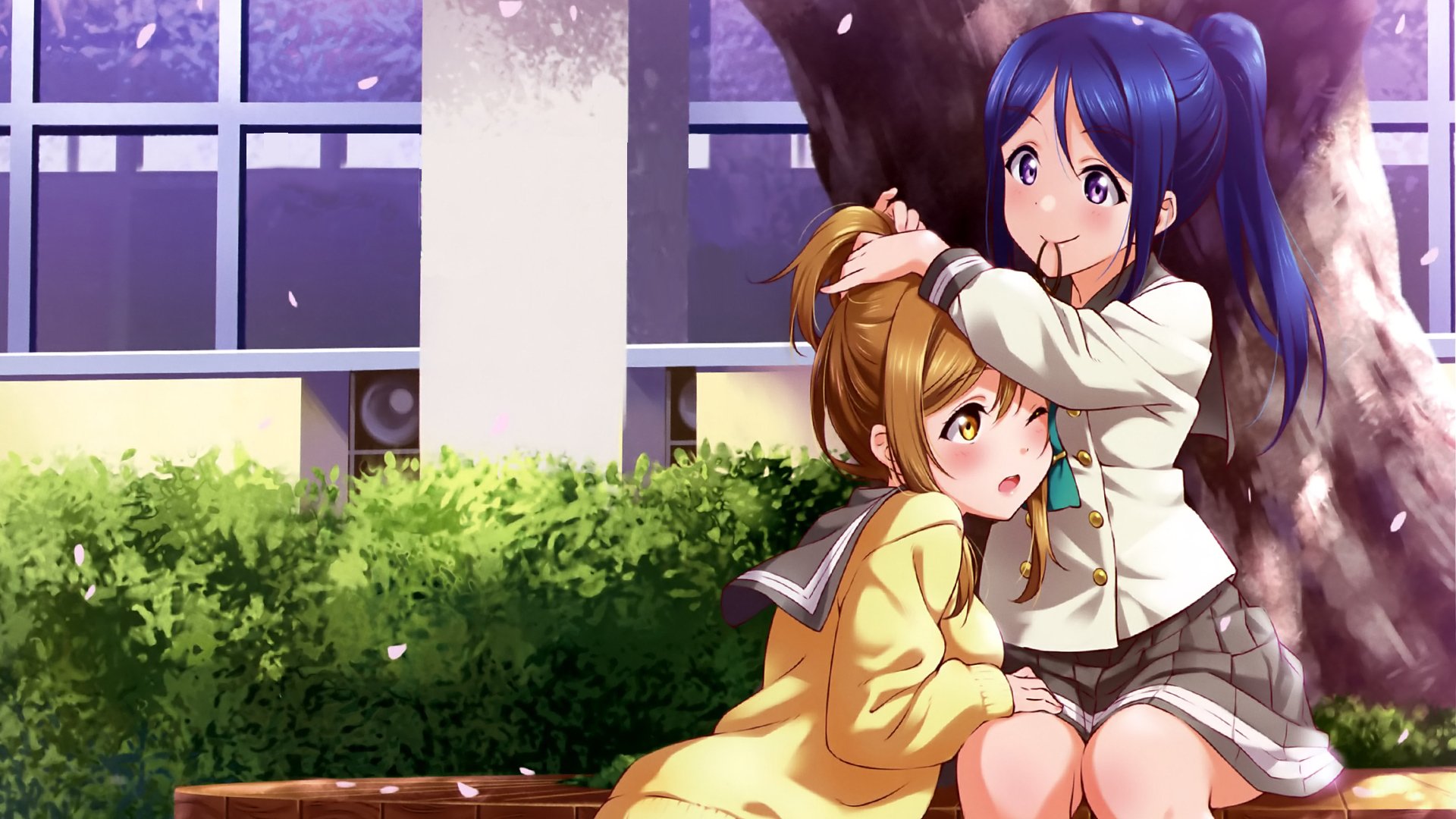 卡通人物,二次元,姐妹