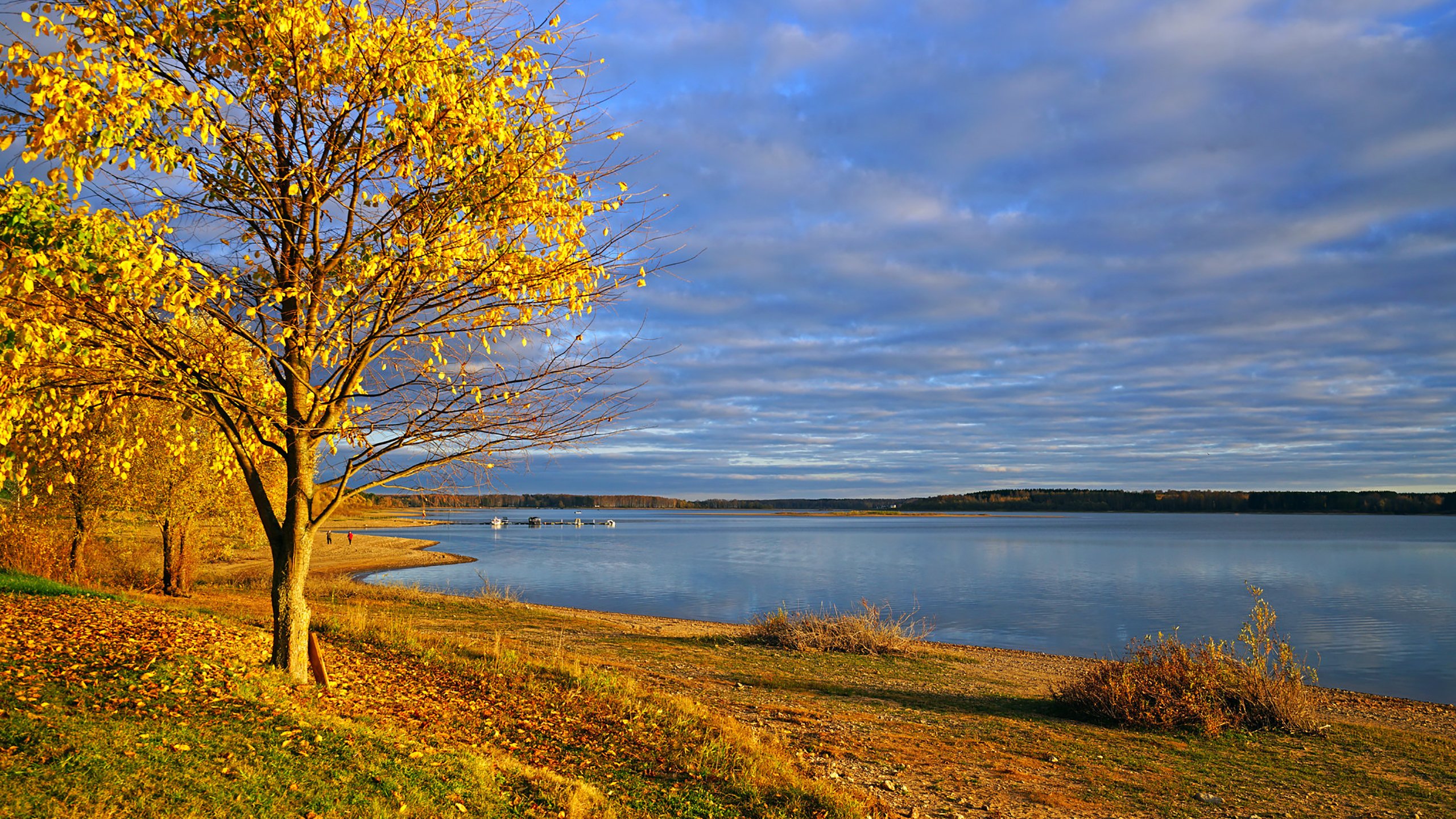 秋意正浓,湖水,公园