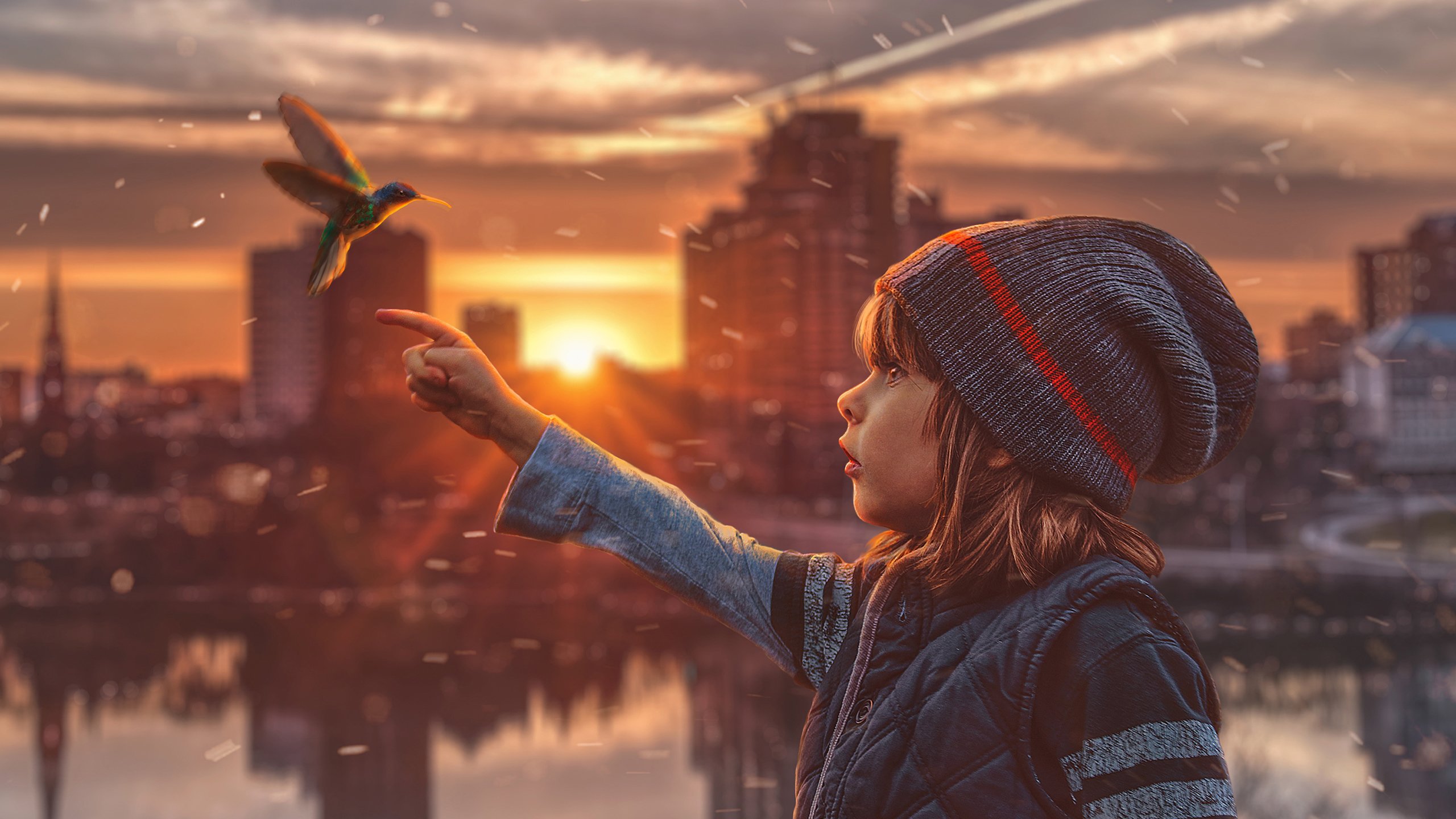 温馨一刻,儿童,蜂鸟