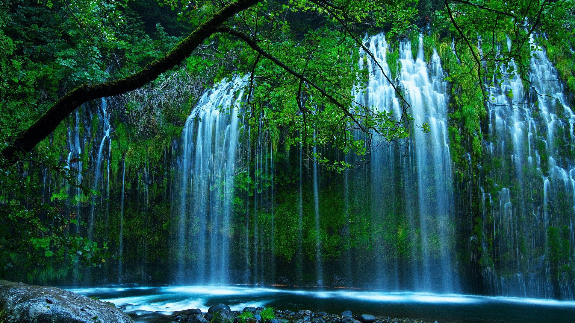 自然风光,瀑布,树林