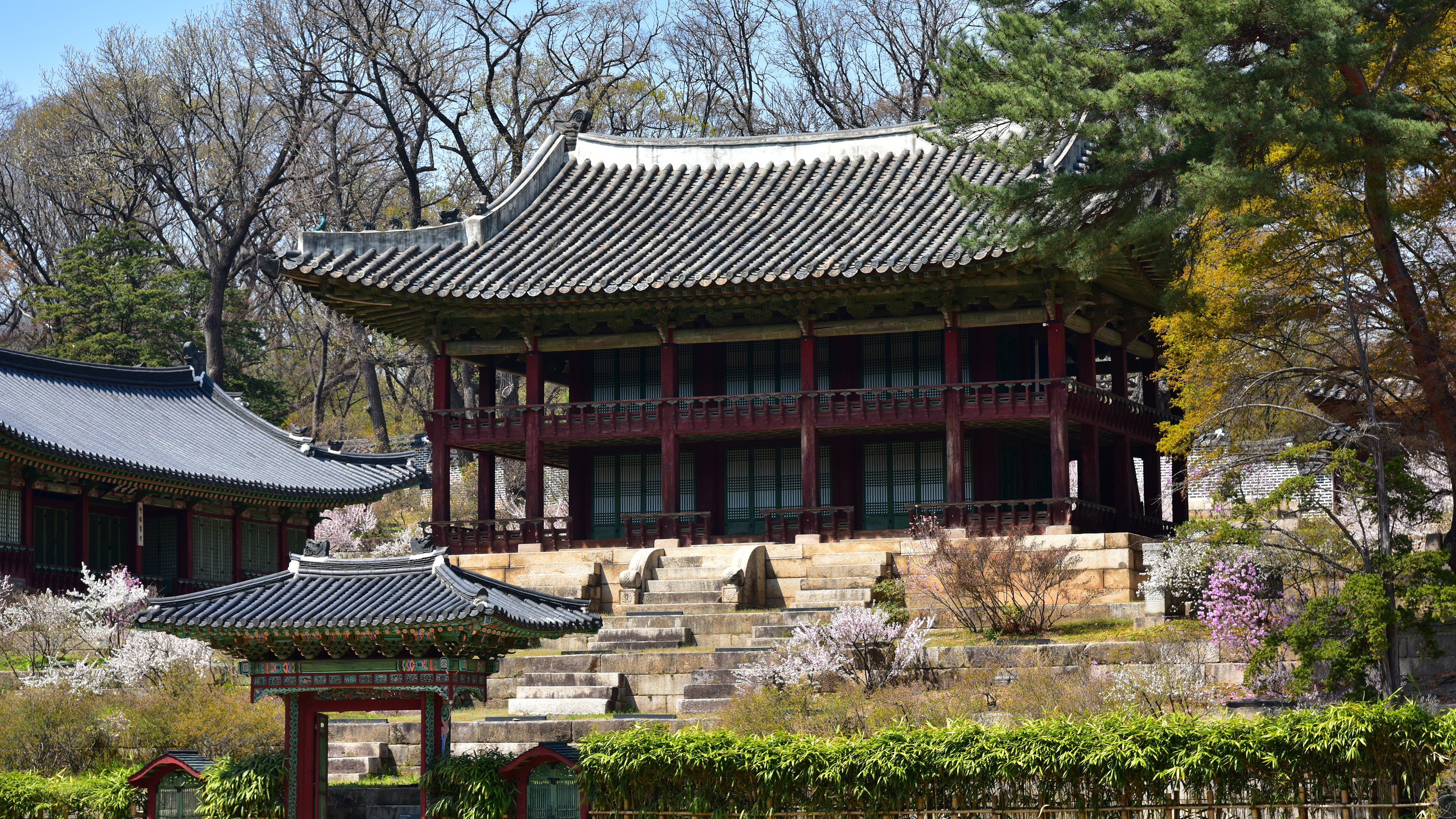 韩国,园林,春天