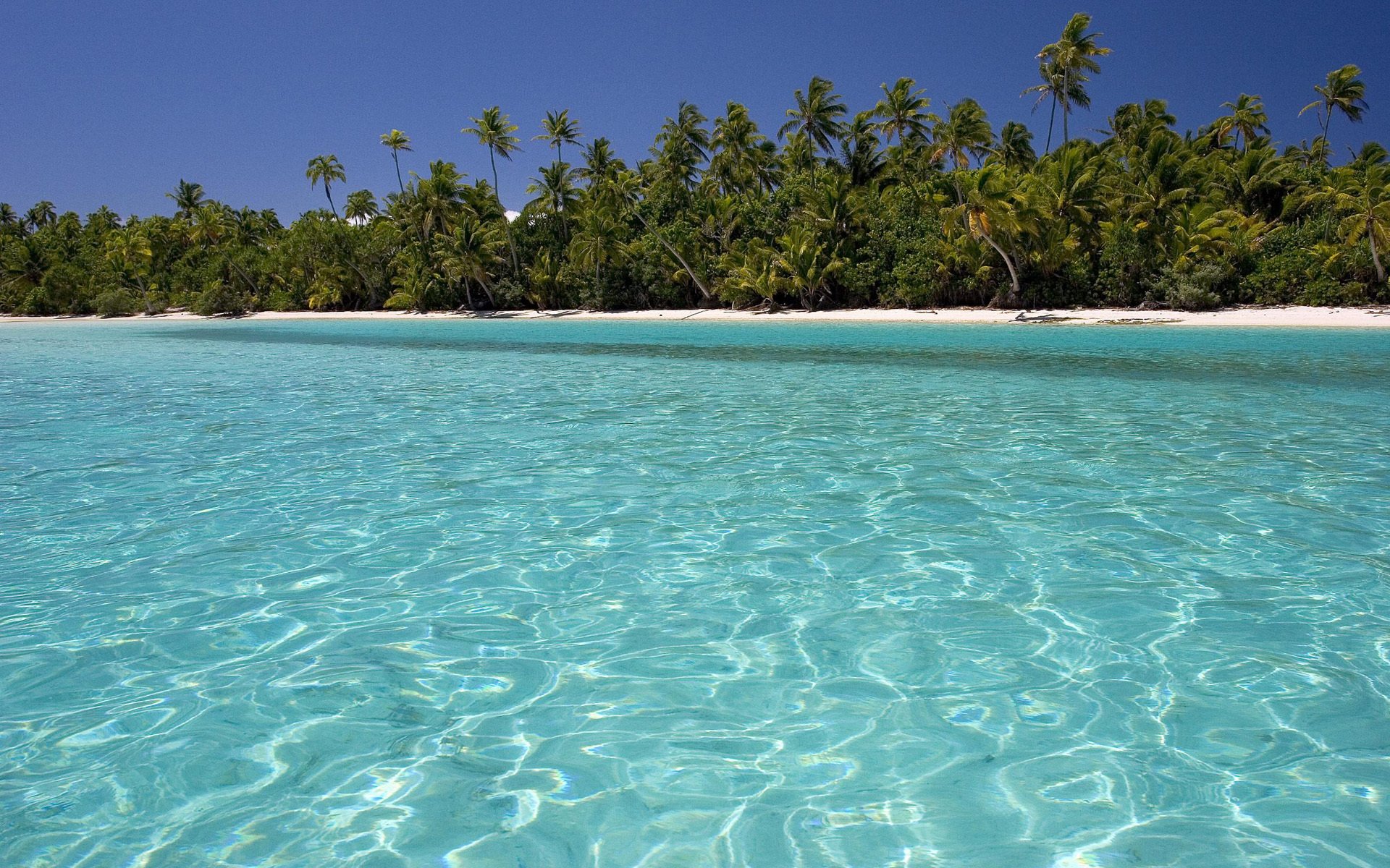 海洋天堂,清澈,波光粼粼