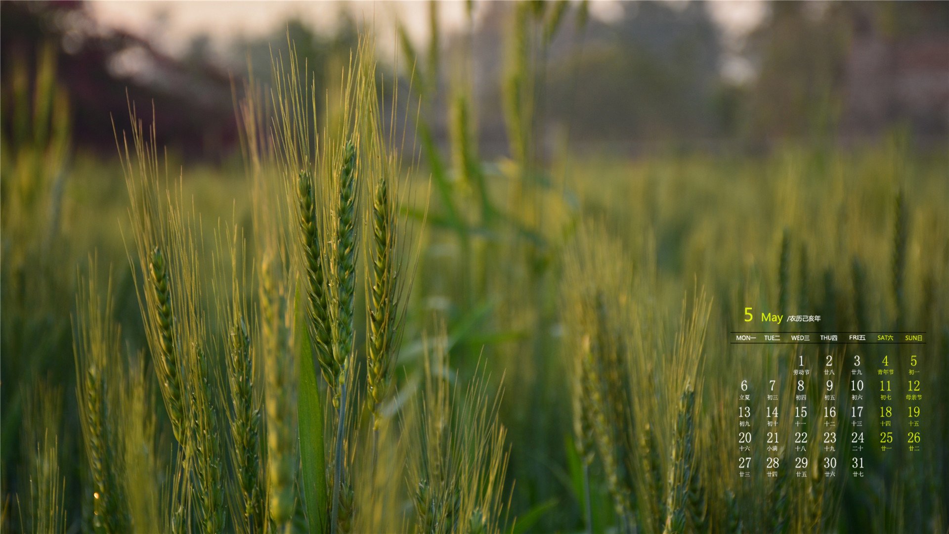 月历,2019年5月