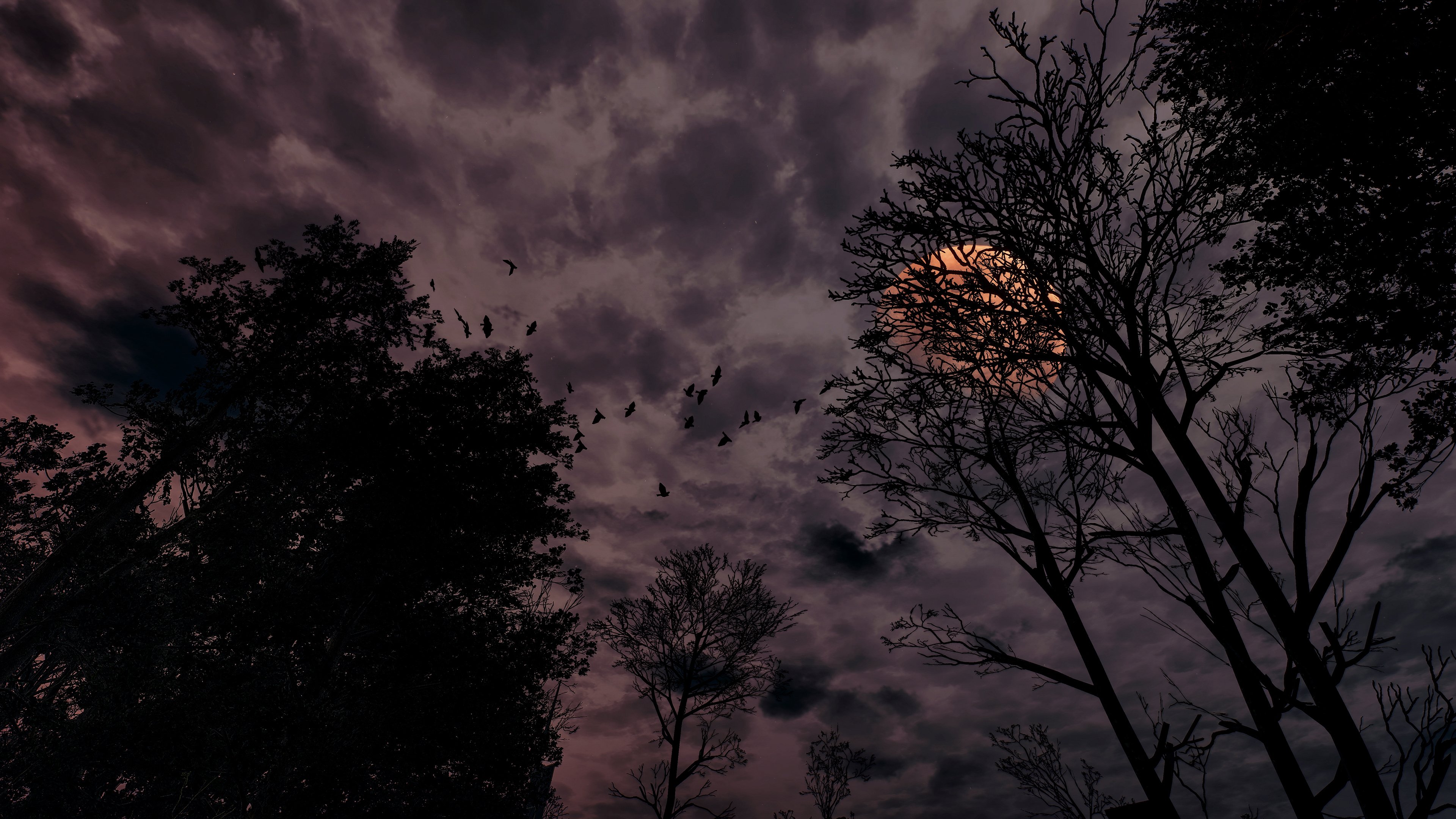 自然风光,月亮,傍晚