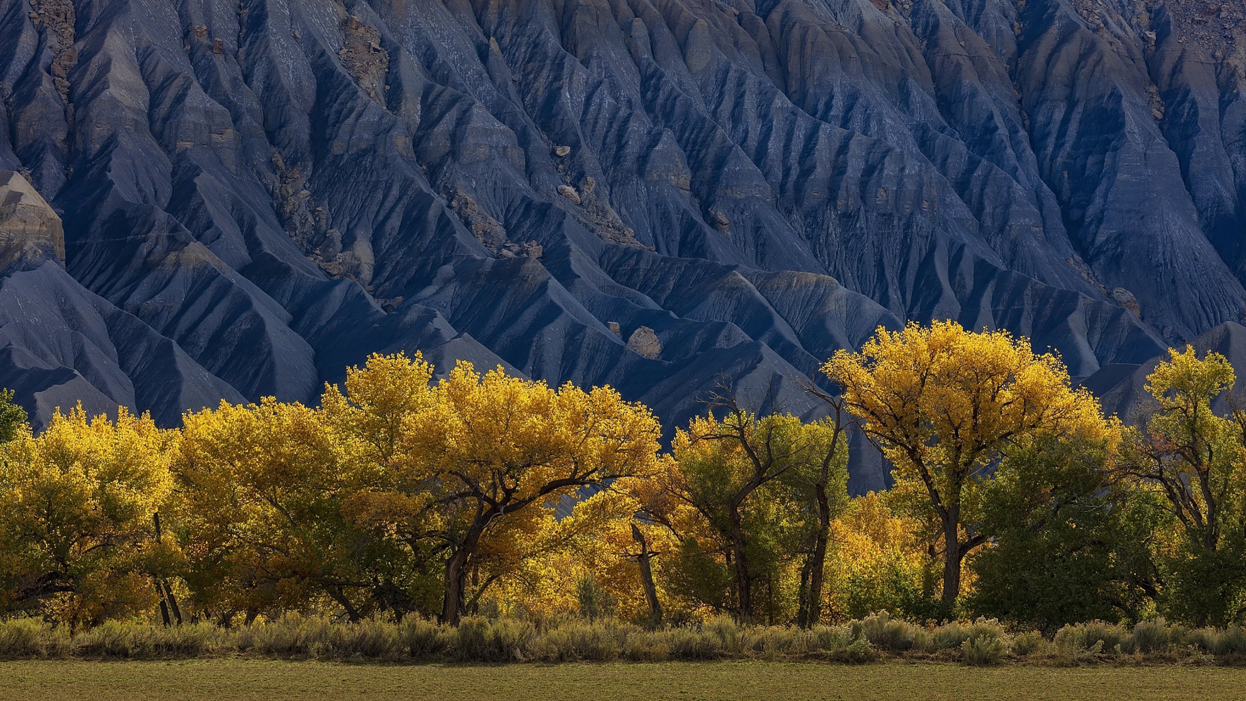 自然风光,山脉,秋天