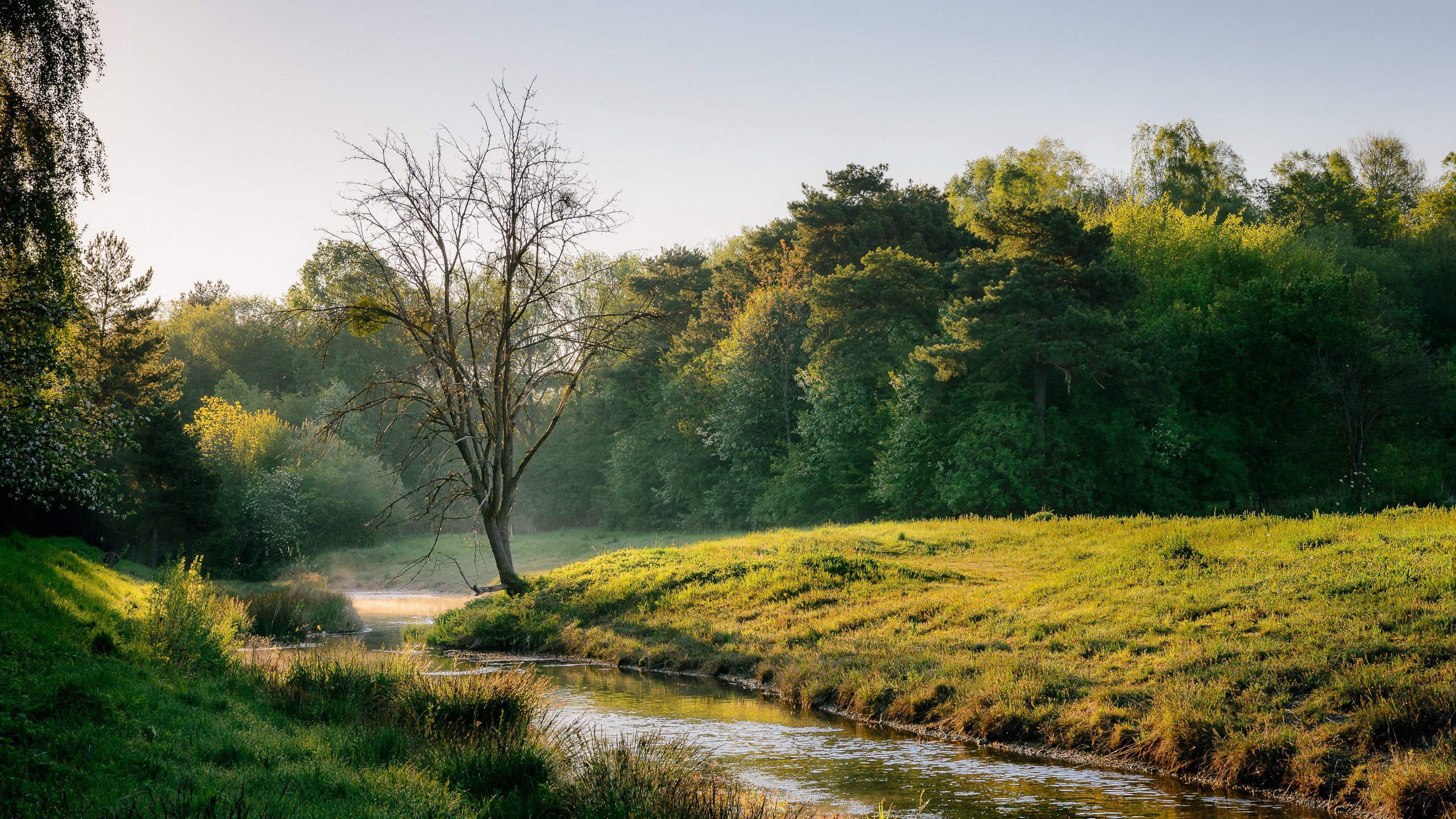 风景大片,春意盎然,小溪