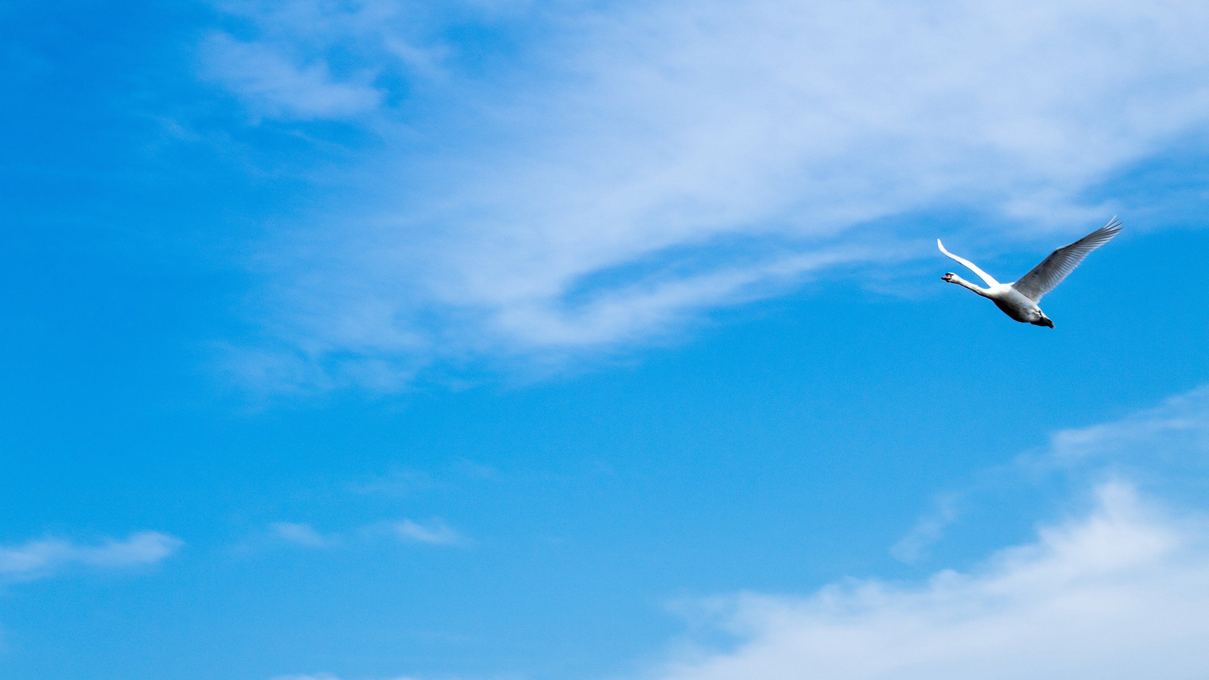 蓝天,敖翔,天空